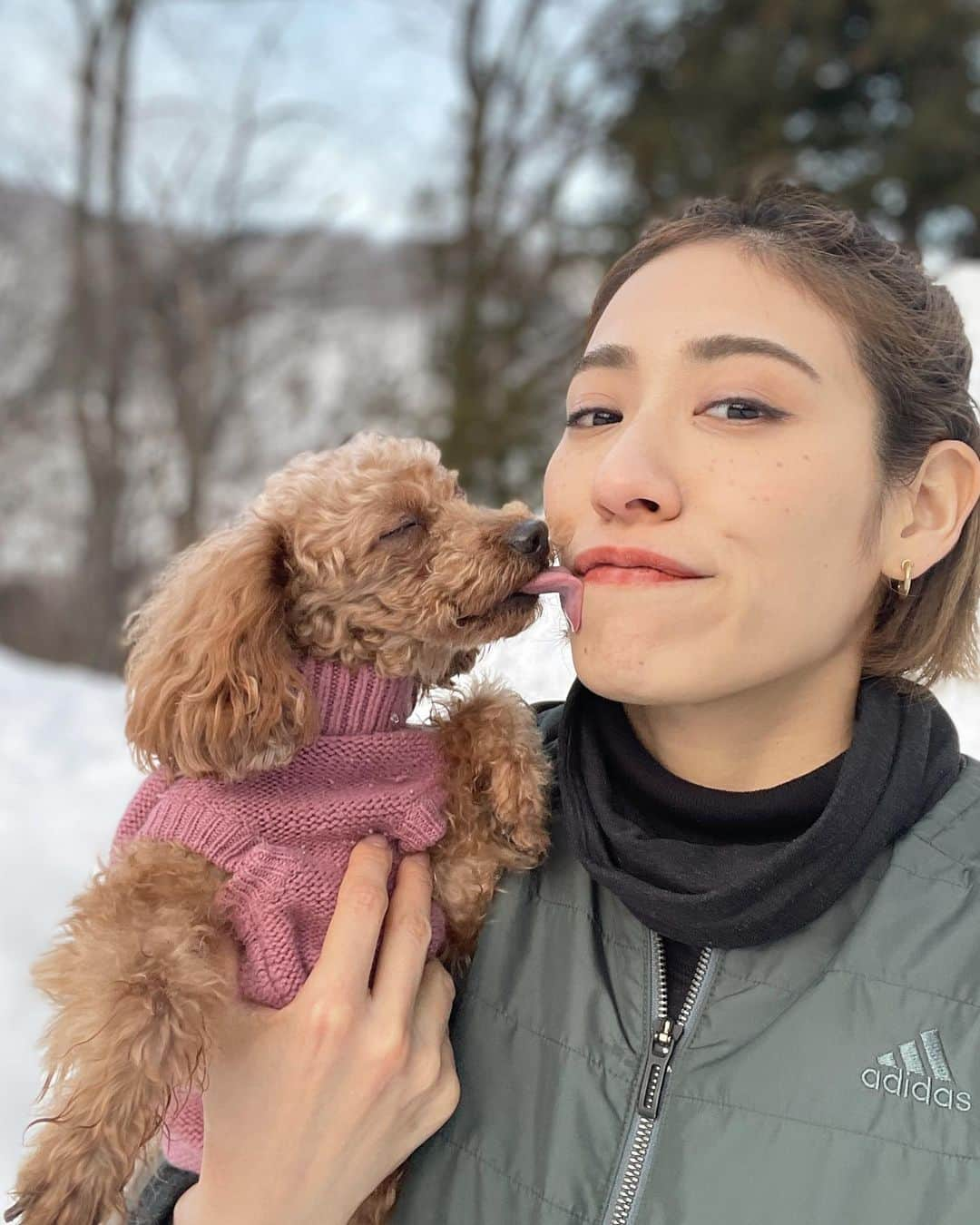 村山和実さんのインスタグラム写真 - (村山和実Instagram)「. 雪ではしゃぐルー❄️  はしゃぎたいけど寒さに震えるマーレ🤧  足が冷たいのが嫌で、靴がないとお散歩したくないラン🥾  わんこだからってみんな雪が好きとは限らないのね🤔❄️  私はというとピコショット(シミ取りレーザー)のかさぶたでそばかす肌みたい😂 雪のレフ板でも隠せないw  6日経った今はかさぶたも取れてうっすら跡が。日焼け対策頑張らねば…！  #いぬすたくらむ  #トイプードル多頭飼い  #トイプードルファミリー  #白馬 #hakuba #toypoodlelove  #toypoodlegram」2月16日 15時03分 - nagomi.murayama