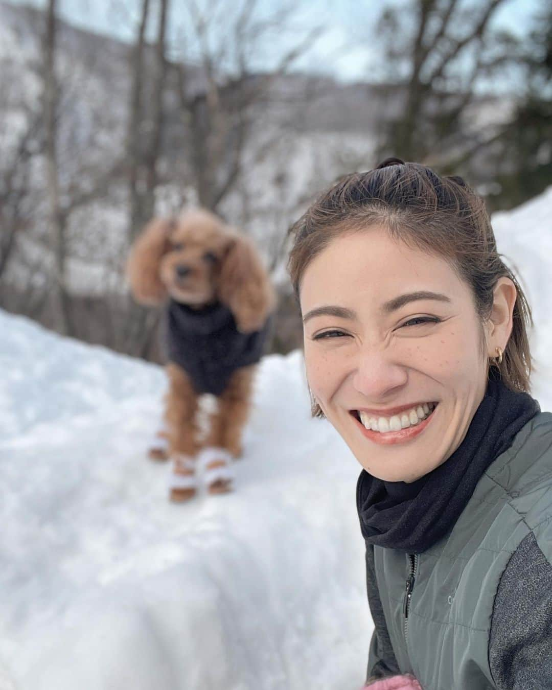 村山和実さんのインスタグラム写真 - (村山和実Instagram)「. 雪ではしゃぐルー❄️  はしゃぎたいけど寒さに震えるマーレ🤧  足が冷たいのが嫌で、靴がないとお散歩したくないラン🥾  わんこだからってみんな雪が好きとは限らないのね🤔❄️  私はというとピコショット(シミ取りレーザー)のかさぶたでそばかす肌みたい😂 雪のレフ板でも隠せないw  6日経った今はかさぶたも取れてうっすら跡が。日焼け対策頑張らねば…！  #いぬすたくらむ  #トイプードル多頭飼い  #トイプードルファミリー  #白馬 #hakuba #toypoodlelove  #toypoodlegram」2月16日 15時03分 - nagomi.murayama