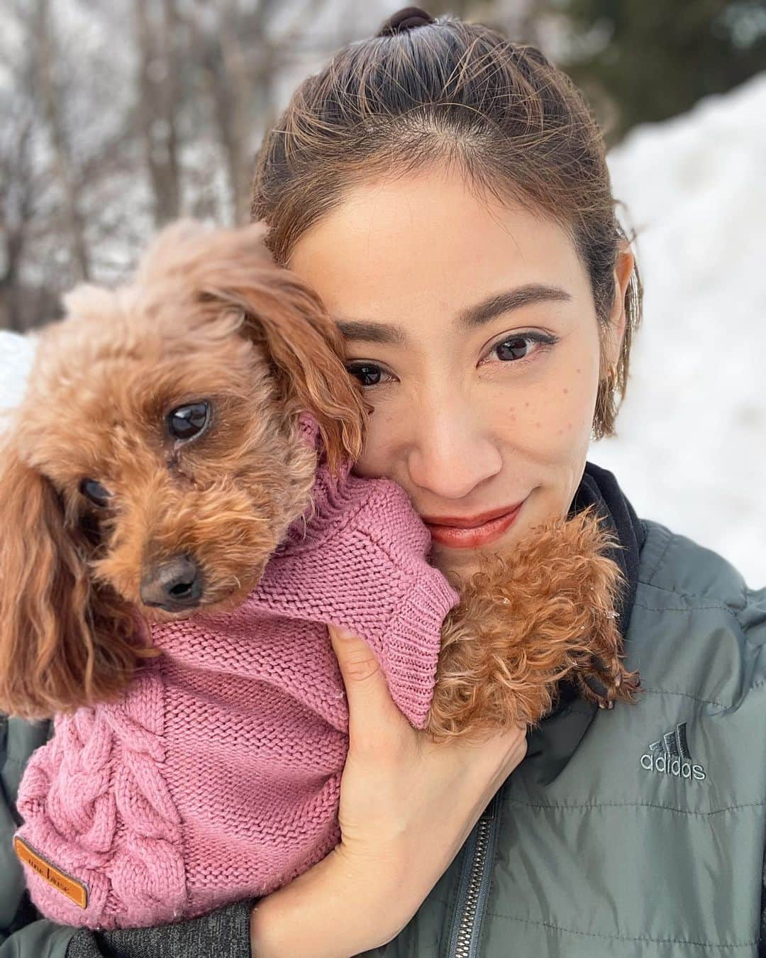 村山和実さんのインスタグラム写真 - (村山和実Instagram)「. 雪ではしゃぐルー❄️  はしゃぎたいけど寒さに震えるマーレ🤧  足が冷たいのが嫌で、靴がないとお散歩したくないラン🥾  わんこだからってみんな雪が好きとは限らないのね🤔❄️  私はというとピコショット(シミ取りレーザー)のかさぶたでそばかす肌みたい😂 雪のレフ板でも隠せないw  6日経った今はかさぶたも取れてうっすら跡が。日焼け対策頑張らねば…！  #いぬすたくらむ  #トイプードル多頭飼い  #トイプードルファミリー  #白馬 #hakuba #toypoodlelove  #toypoodlegram」2月16日 15時03分 - nagomi.murayama