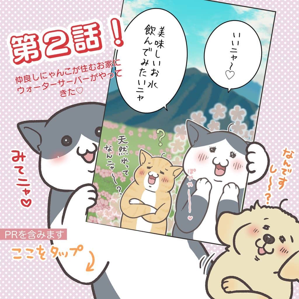 餅付きなこのインスタグラム：「前回に引き続き、コスモウォーター @cosmowater.official さんのPR漫画第二弾❣️描かせていただきました♡  猫ちゃんをコンセプトにしたとっても可愛いウォーターサーバー　smartプラスにゃんモデルの、あったら嬉しい機能やとっても便利な使い方のご紹介などをリール動画でお届け☺️  ぜひぜひコスモウォーターさんのInstagramアカウント @cosmowater.official に見に行ってみてね♡（いいねももらえたら嬉しいです☺️）  オフィシャルサイトでは漫画がリール動画で全部楽しめます☺️ ハチワレとトラ柄の兄弟にゃんこが送るふんわりした物語になってるよ🥰  #はちわれ #にゃんすたぐらむ #にゃんこ #ねこすたぐらむ #東海ねこ部 #猫好き #はちわれ猫 #しろくろねこ #ふわもこ部 #笑わせ隊 #にゃんだふるらいふ #マンガ #描いてみた #日常 #絵日記 #四コマ #癒やし #猫のいる暮らし #にゃんず #猫と暮らす #猫と一緒 #みんなのねこ部 #pr #ウォーターサーバー #コスモウォーター #ウォーターサーバーのある生活」