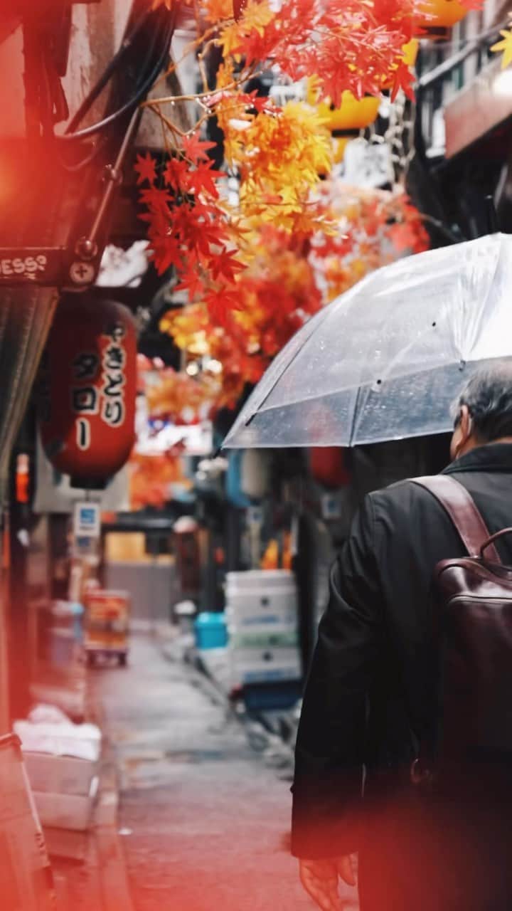 Yuma Yamashitaのインスタグラム：「Cold Rain Shinjuku 🎥 #canonr5 @eos_canonjp  Beat by @big81993  #新宿 #雨」