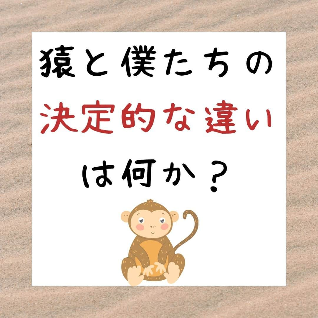 野口嘉則のインスタグラム：「【猿と僕たちの決定的な違いは何か？🍀】  朝にもらえる木の実の数だけを見て、 一喜一憂する猿と同じく、  僕たち人間も、 目先の結果だけを見て「良い悪い」の判断をし、 一喜一憂してしまう傾向があります。  自分の期待に反することが起きると、 「悪いことが起きた」「不運だ」 などと考えてしまうわけです💦  だけど僕たちは、 自分の期待に反することが起きても、  その後の行動と生き方によって、  「あのことが起きてよかった。 あのことがあったからこそ今の自分があるし、 人生がドラマチックに展開した」  と思えるような、 そんな素敵な未来を創っていくことができます✨  これができるのは人間だけですね。  ちなみに『荘子』という本では、 人間の「良い悪い」の判断が実に不確かなものであることが、 さまざまな寓話によって語られていて、 なかなかおもしろいですよ😊  -----------------------------------------------  僕の投稿を見ていただき、ありがとうございます。  作家で心理カウンセラーの野口嘉則です。  自己実現力を高めるための話を 毎週、火・木・土の夜に投稿しています。  今後も、 あたたかい気持ちになれる話や 感受性を高める話や 前に進むヒントになる言葉を 投稿していきますので、 ご関心のある方はフォローしておいてくださいね😊 @noguchiyoshinori_official  投稿をあとで見直したい方は、 保存できます。  また、投稿のご感想など 気軽にコメントしていただけると嬉しいです。  次回もお楽しみに👋  -----------------------------------------------  #老荘思想 #考え方を変える #考え方 #マインド #生き方」