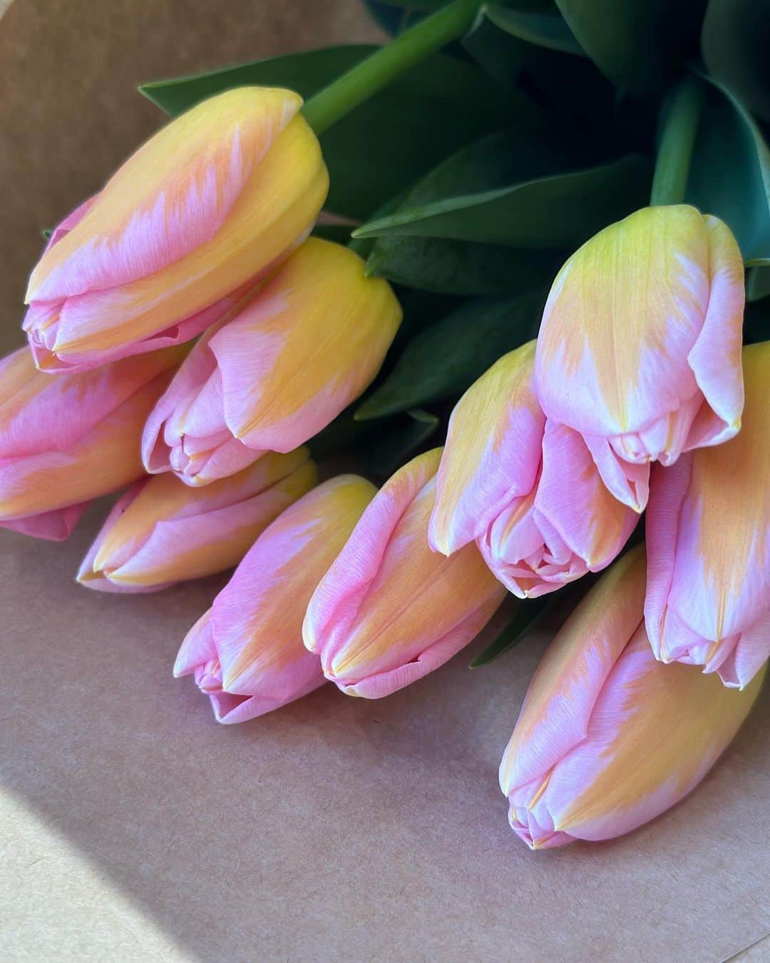 nanako itoのインスタグラム：「TULIP @roun__tokyo 🌷」