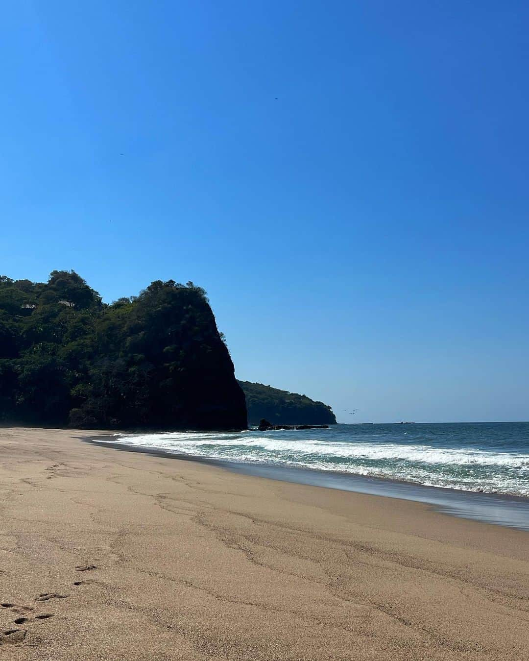 マリア・ドロシナさんのインスタグラム写真 - (マリア・ドロシナInstagram)「Paraíso 🇲🇽🌴」2月17日 4時25分 - doroshina