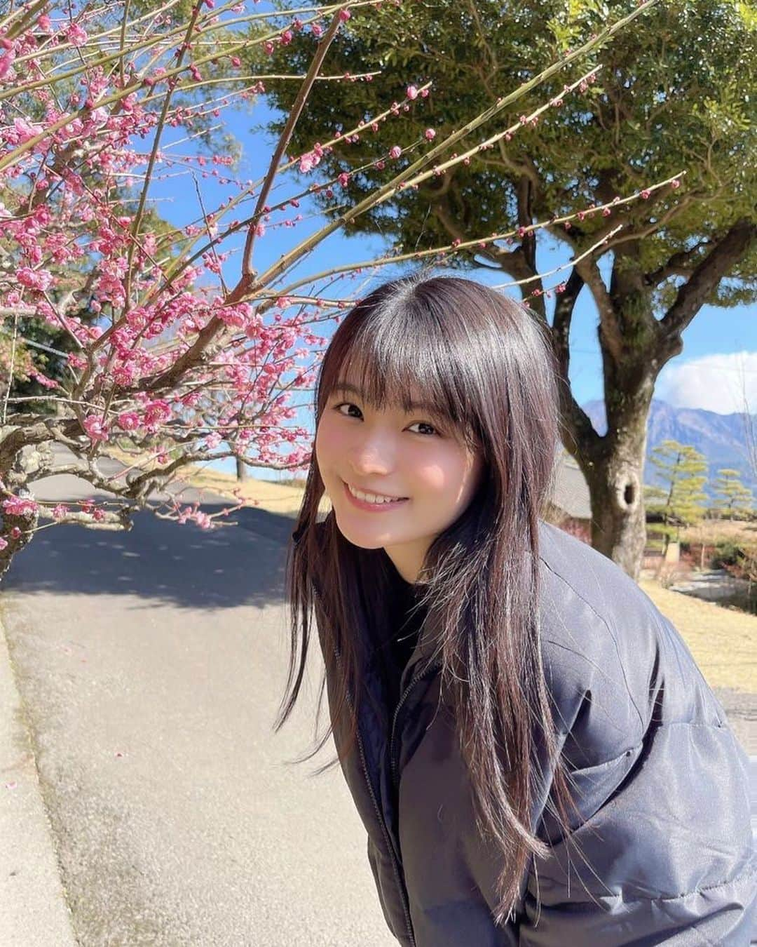 星名美津紀さんのインスタグラム写真 - (星名美津紀Instagram)「はじめての鹿児島県🌸 #仙巌園 からの#桜島 ⛰  桜と梅が満開🥰 もうすぐ春です🌸」2月17日 11時03分 - hoshina_mizuki