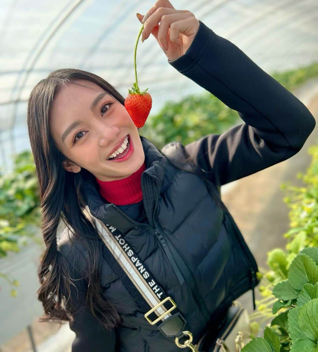 長谷川晴奈さんのインスタグラム写真 - (長谷川晴奈Instagram)「いちご狩り行って来ました🍓  元取ろうと頑張ってめっちゃ食べました そして見事にお腹を壊しました😂 みんないちごの食べ過ぎには気をつけてね  #栃木　#佐野市　#いちご　#いちご狩り　#春先取り　#ドライブ」2月17日 21時55分 - haruna_hasegawa71