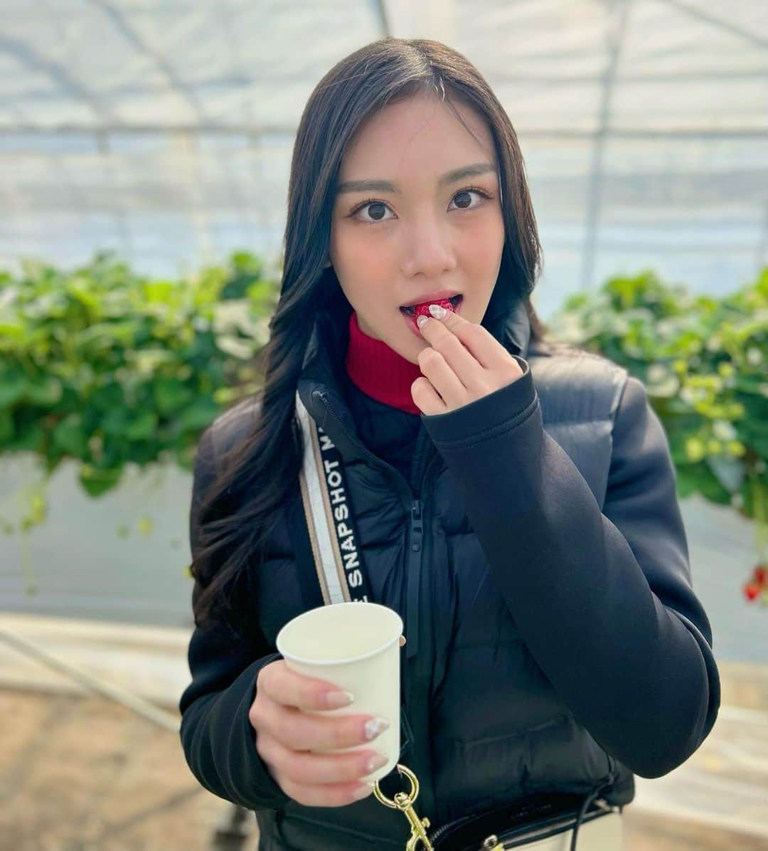 長谷川晴奈さんのインスタグラム写真 - (長谷川晴奈Instagram)「いちご狩り行って来ました🍓  元取ろうと頑張ってめっちゃ食べました そして見事にお腹を壊しました😂 みんないちごの食べ過ぎには気をつけてね  #栃木　#佐野市　#いちご　#いちご狩り　#春先取り　#ドライブ」2月17日 21時55分 - haruna_hasegawa71