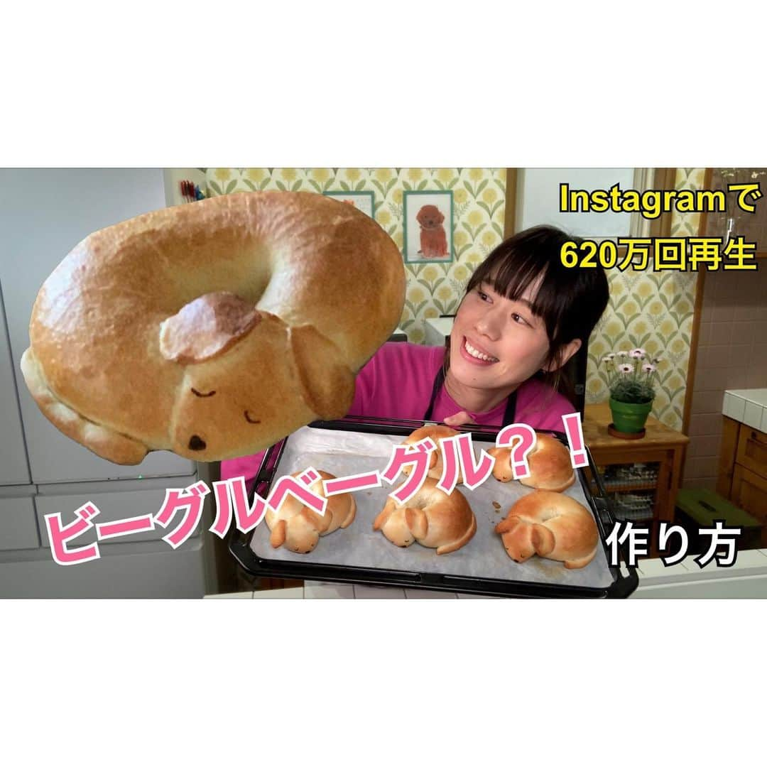 Ranさんのインスタグラム写真 - (RanInstagram)「. . I posted how to make beagle bagels on YouTube！ Go to YouTube from the link in my profile😉 . . ビーグルベーグルの作り方を、YouTubeにのせました♩ 既に見てくださった皆さま、ありがとうございます♡  正直、動画編集はパンを作るより難しい！ けどとっても楽しい🤭  #bread #baker #beagle #bagel #sandwich #doglover #kawaiifood #recipe #cooking #breakfast #lunchbox #YouTube #beaglepuppy #パン #手作りパン #朝ごパン #ビーグルベーグル #ベーグル #ビーグル #ビーグル大好き #ベーグルサンド #キャラパン #キャラ弁 #キャラフード #犬のいる暮らし #サンドイッチ #ベーグル作り #konel #ランさん #動画編集初心者」2月17日 22時18分 - konel_bread