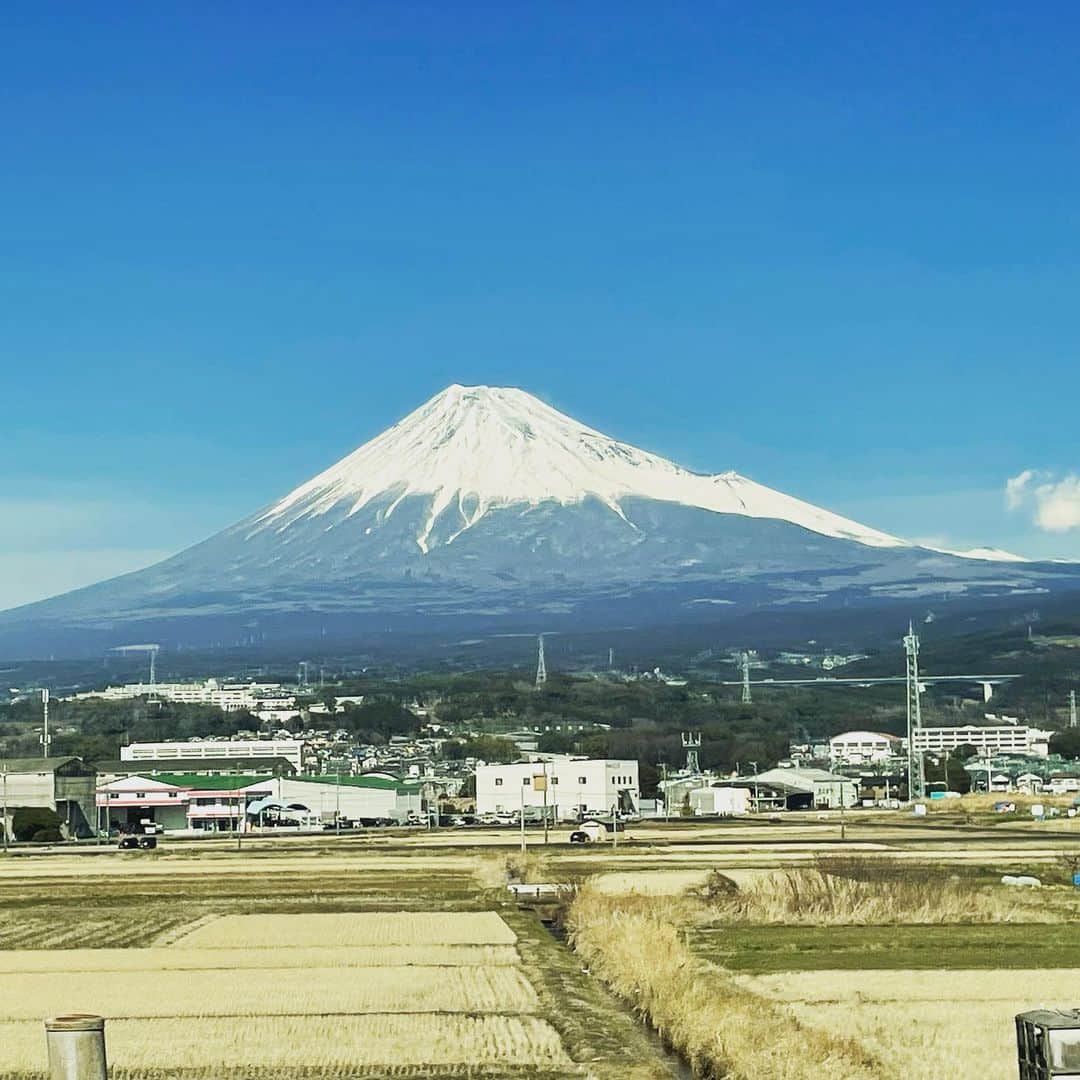 谷口崇のインスタグラム：「いつ見ても大きいなぁ。」