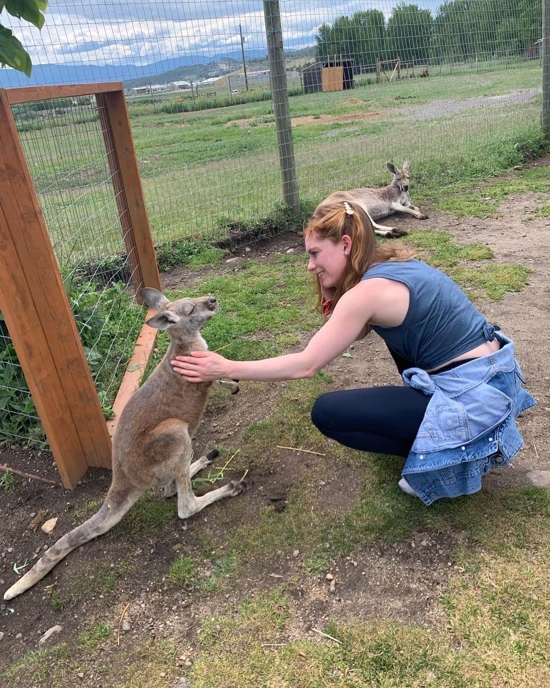 ナターシャ・ピュリッチさんのインスタグラム写真 - (ナターシャ・ピュリッチInstagram)「It was instant friendship....   Can I get a house kangaroo??  #kelowna #kangaroosarecool #natureisneat」2月17日 13時55分 - tashapurich