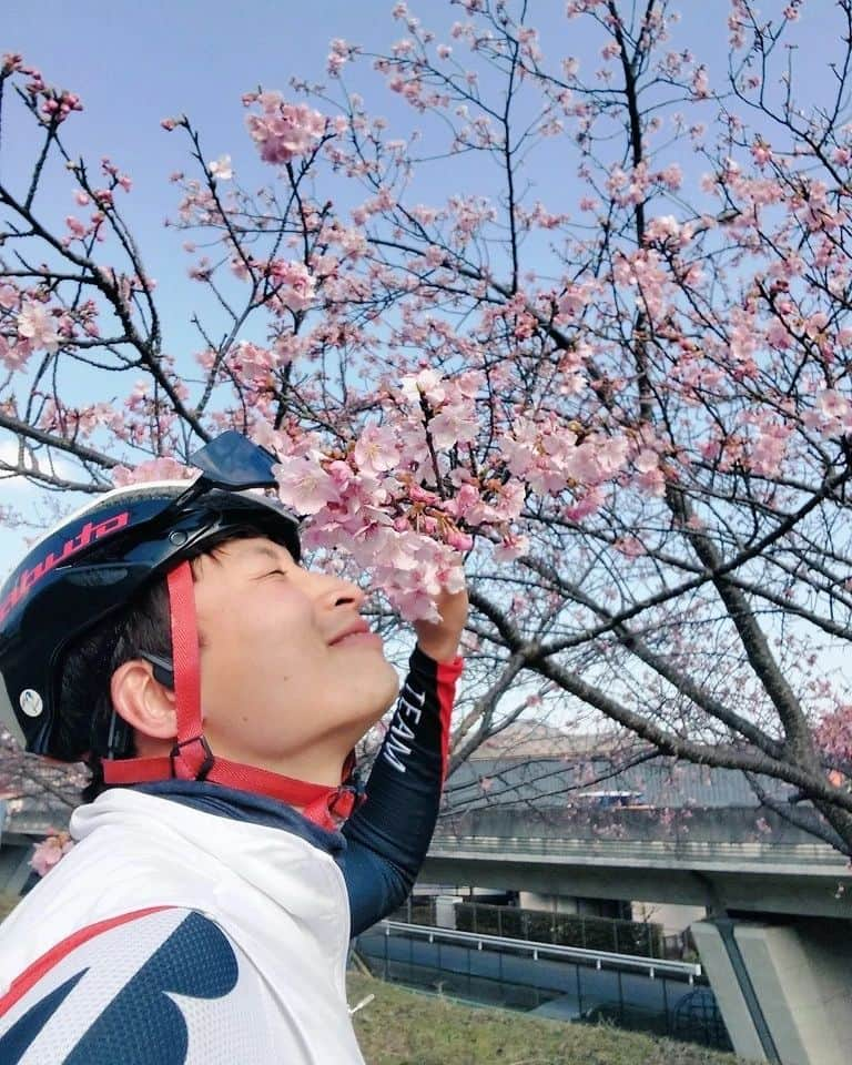 橋本英也のインスタグラム：「#Sakura #Yamamoto #spring #cherryblossom #🌸 #sakuride #Genki # 春空」