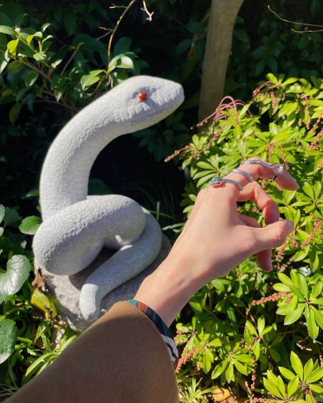 ルウトのインスタグラム：「🐍⛩  こないだ白蛇さんが展示されている蛇窪神社へ行って来ました🐾 境内に蛇のオブジェがたくさんあったり、花手水が綺麗だった〜🐍⛩ 参拝後に蛇の指輪の尻尾部分が折れちゃって脱皮したのかと思った😂  #蛇窪神社」