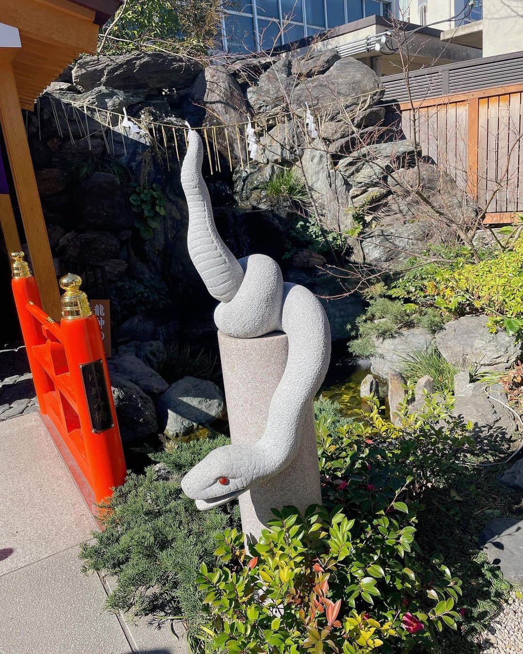 ルウトさんのインスタグラム写真 - (ルウトInstagram)「🐍⛩  こないだ白蛇さんが展示されている蛇窪神社へ行って来ました🐾 境内に蛇のオブジェがたくさんあったり、花手水が綺麗だった〜🐍⛩ 参拝後に蛇の指輪の尻尾部分が折れちゃって脱皮したのかと思った😂  #蛇窪神社」2月17日 14時30分 - chitoseruto