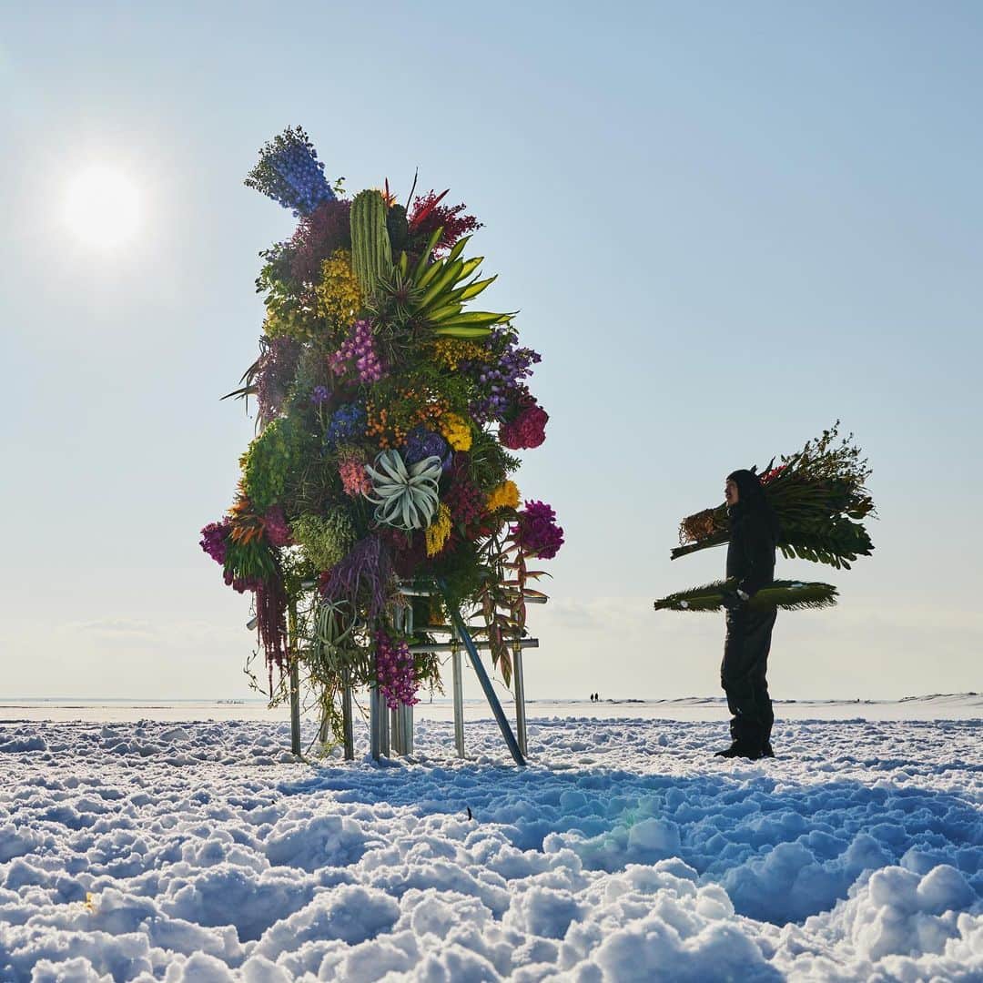 椎木俊介のインスタグラム：「Frozen Flowers (2023)  #azumamakoto #makotoazuma #shiinokishunsuke #amkk #amkkproject #botanicalsculpture #todowara #hokkaido #theendoftheworld #東信 #東信花樹研究所 #トドワラ #野付半島」