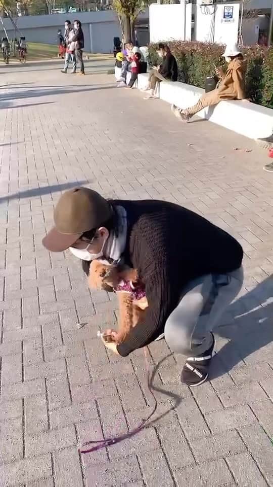 のインスタグラム：「#いえすわんどぅ #藤澤ノリマサ」