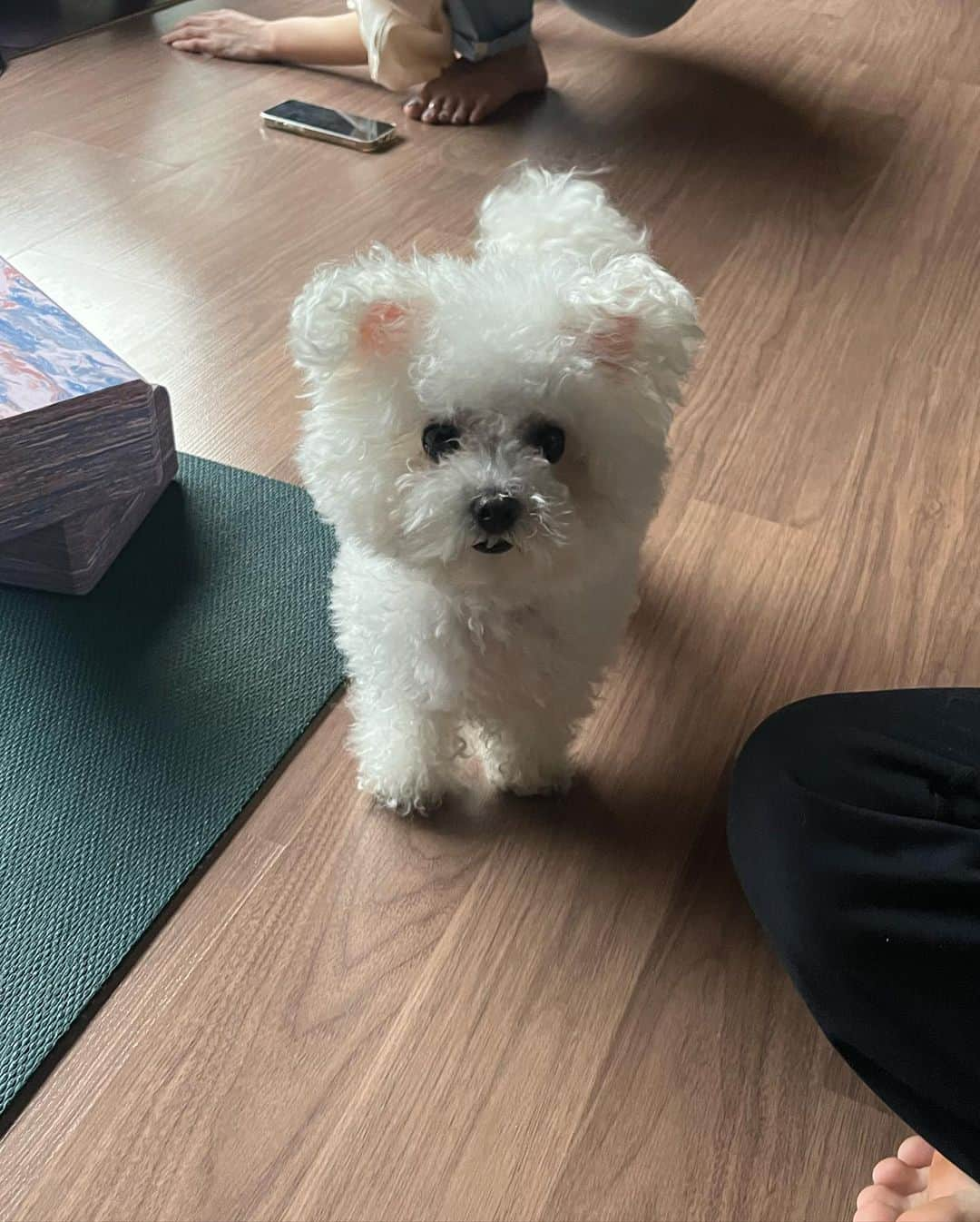 ソ・ウンスさんのインスタグラム写真 - (ソ・ウンスInstagram)「🧘🏻‍♀️🕯️🐾」2月17日 18時29分 - jj_minii