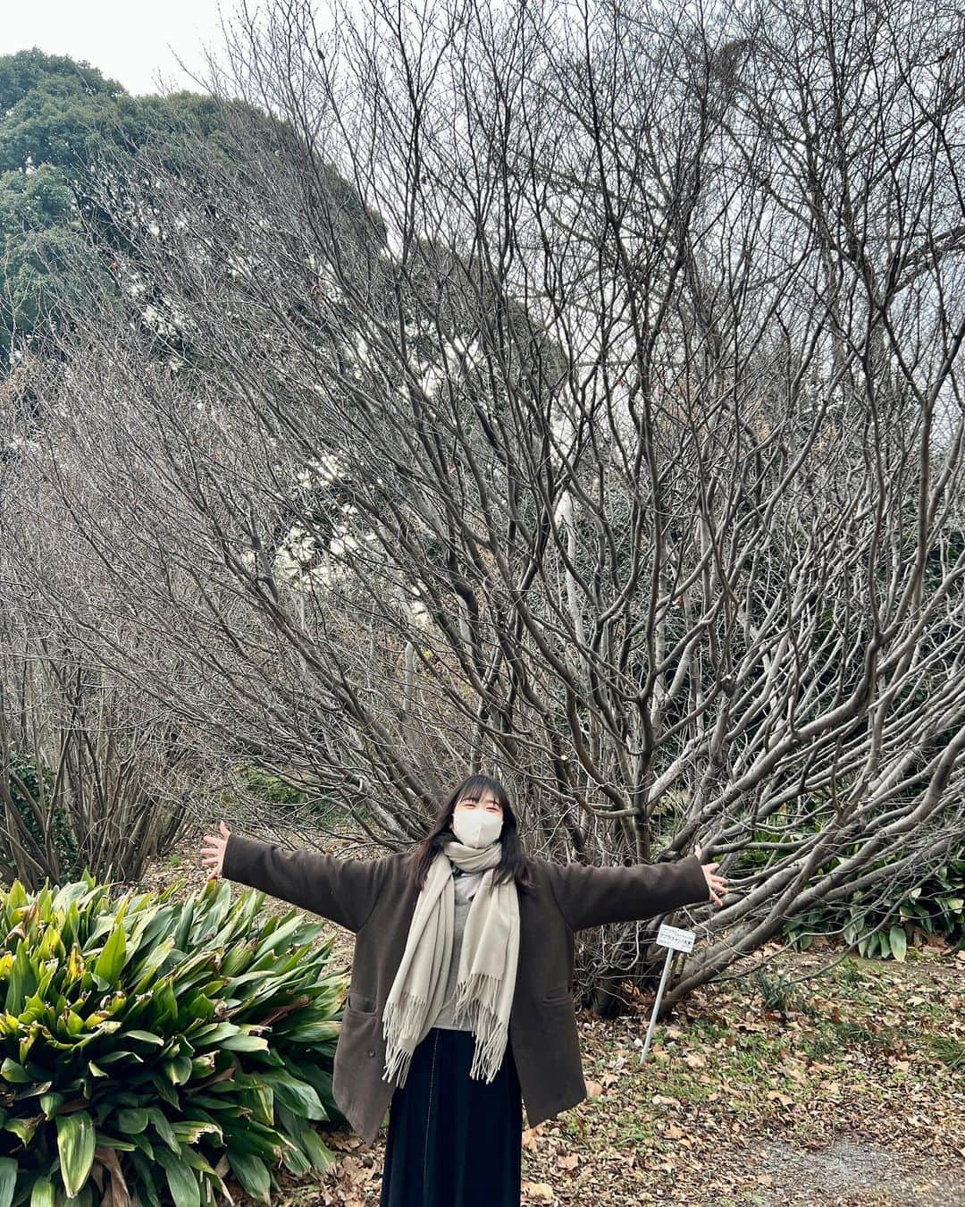 丹生明里さんのインスタグラム写真 - (丹生明里Instagram)「冬に植物園に行ってきました！🍃 お花見つけた時嬉しかった！😆 また行きたい〜  #植物園 #日向坂46 #丹生ちゃん #nibugram」2月17日 20時07分 - nibuchan_akari