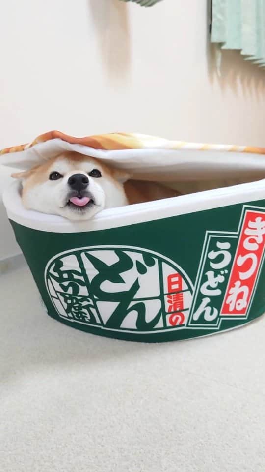 ちゃみのインスタグラム