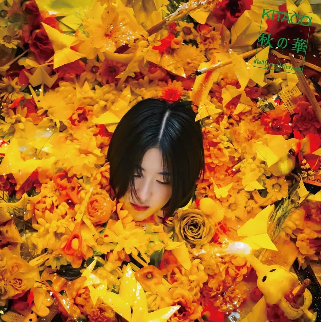 のインスタグラム：「KITACO 2nd EP「秋の華」 ジャケットモデルに起用していただきました。  apple musicやYouTubeでKITACOさんの素敵な音楽をご鑑賞いただけますので、ぜひお楽しみください。  model : @rin_mary4  photo & art : @antiart6969  jacket design: @r____m2001  music : @kitaco_dayo   #松城凜 #KITACO #秋の華」