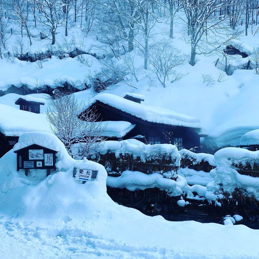 林千晶さんのインスタグラム写真 - (林千晶Instagram)「鶴の湯温泉、行ってきました！ シンシンと積もる雪の中、1時間でも入ってられる露天風呂。天国でした。  さあ、仕事しよう笑」2月18日 10時16分 - chiaki_0808