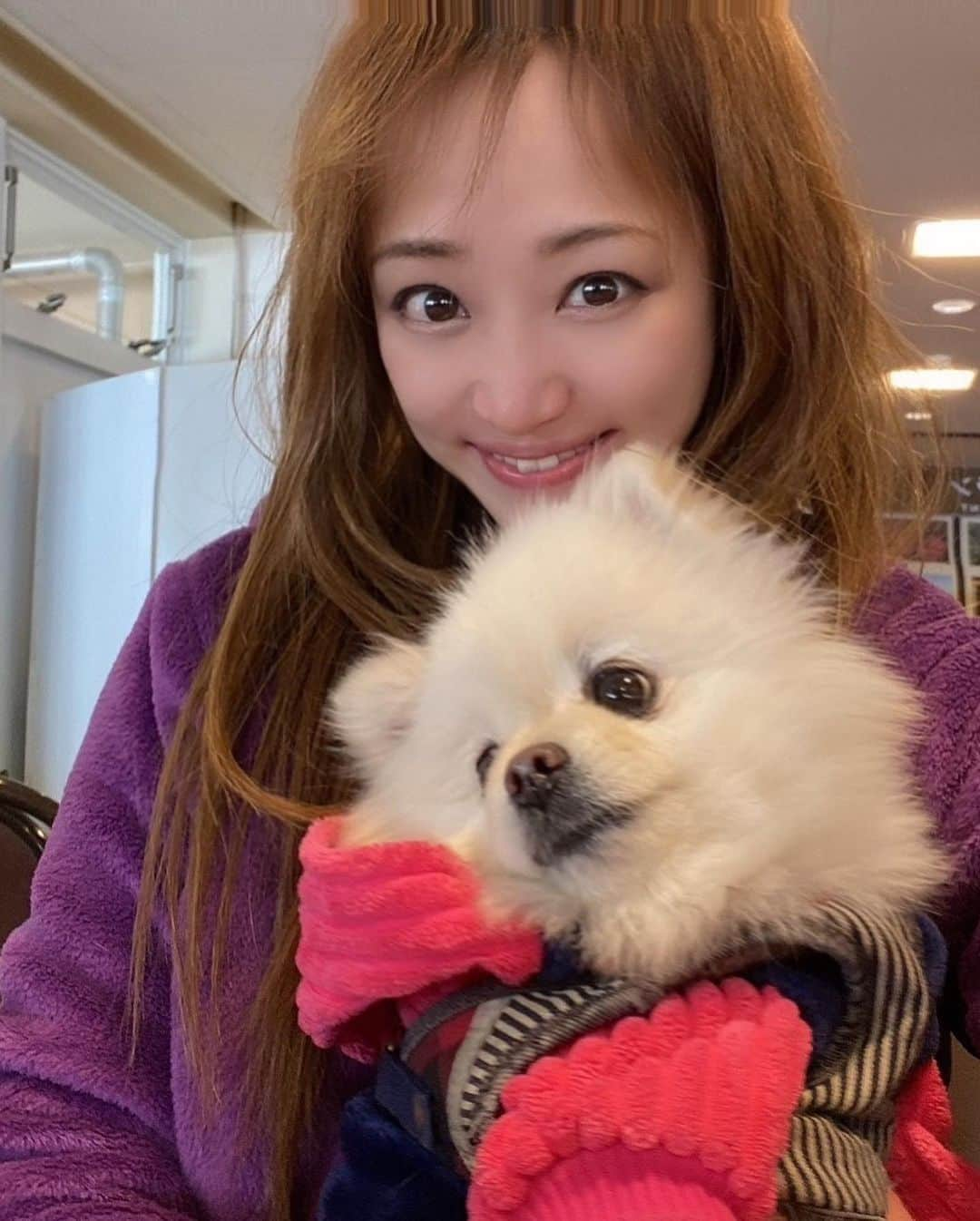 葵ゆりかさんのインスタグラム写真 - (葵ゆりかInstagram)「子連れ犬連れにおすすめのスキー場⛷✨  栃木県那須郡にある #マウントジーンズ那須 ⛄️  レストランでわんこと一緒に休憩できちゃうスキー場は、なかなかないんじゃないかなと思います🐶❤️  ゴンドラで山頂にあがると、ドッグランとキッズパークがあるので、子供もわんこもどっちも楽しめます👦🏻🐶  キッズパークには室内の休憩所もあるようで、赤ちゃんも連れも安心👶✨  とっても過ごしやすいスキー場です💕  去年までは、リフト券必要かなー？ってくらいしか滑れなかった息子が、すっかりゴンドラで頂上から降りて来れるようになって、成長の早さに驚きの母です🫣  #ゲレンデ　#那須　#スキー場　#スノーボード　#🏂　#スノボ　#子連れ　#子連れスポット　#子供とお出かけ #mama #2kidsmama #赤ちゃん　#赤ちゃんとお出かけ　#babygirl #baby #あかちゃんのいる生活 #赤ちゃん連れ旅行 #男の子ママ　#女の子ママ #わんことお出かけ　#わんこOK #犬OK #犬連れ　#犬バカ部　#わんこ部　#ドッグラン」2月18日 11時57分 - yuriyuricchi