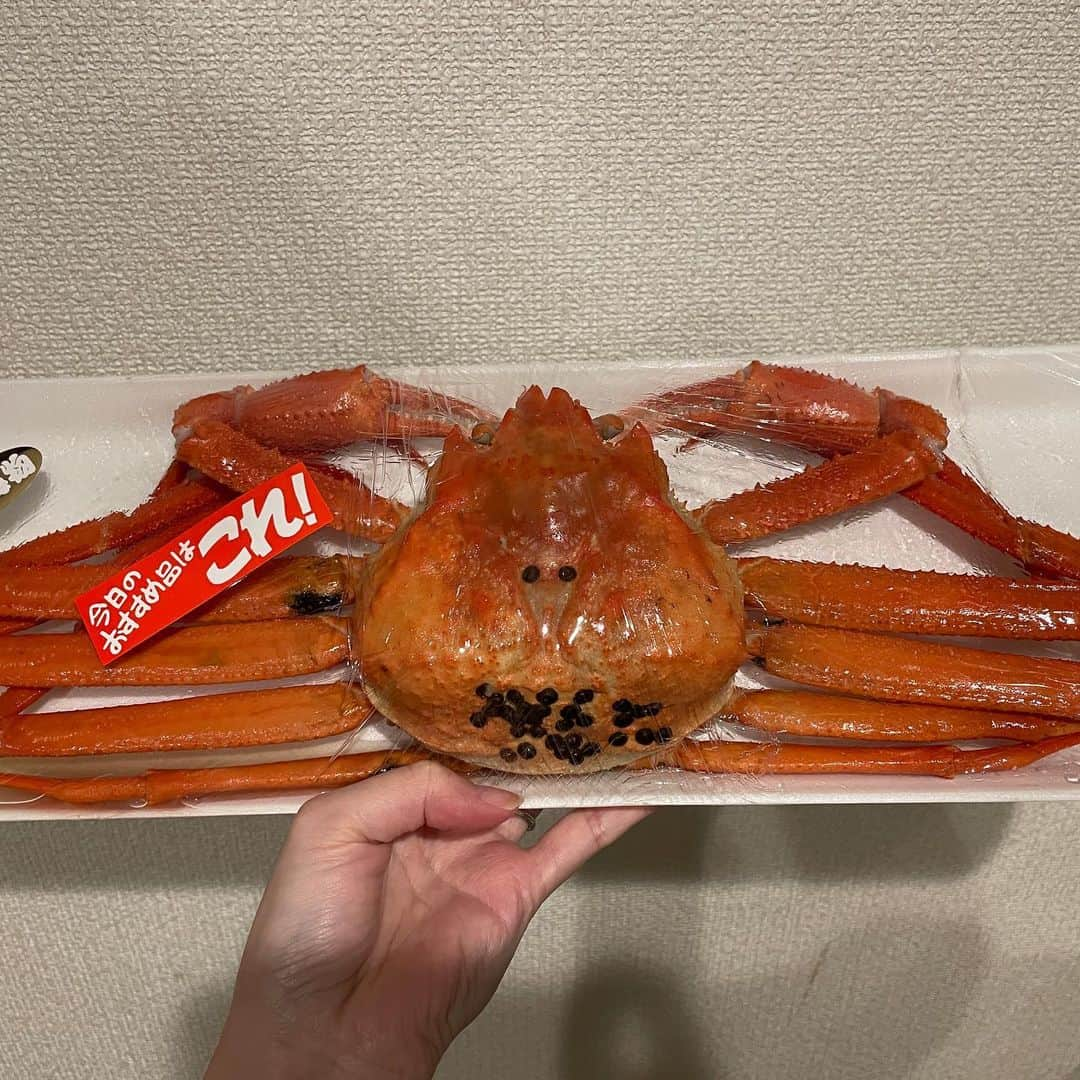 南條早紀さんのインスタグラム写真 - (南條早紀Instagram)「【念願すぎる🦀】  ついに！ついについに！！ 久しぶりにカニを丸ごと食べました😭 ベニズワイガニです！！！  妊娠中は念のため控えていたのと なかなかスーパーでこの子！ というカニにも出会えず、 子連れだとお店にもなかなか行けなくて🥲  食べたくて、食べたくて、食べたくて せっかく富山にいるのにー！と 発狂しそうになるくらい、 食べたくて仕方なかったカニ。  お手頃価格でありながら、 これは絶対身が詰まってるぞ…🤤 と、私の勘が騒いだカニに出逢えました❤️  カニって、捌いてみるまで 身の詰まり方とかミソの具合とか 甲羅のなかの汚れ具合とか わからないじゃないですか🥺  いざ！とパカーンとあけてみたら 甲羅の部分に砂がびっしりで 味噌の部分は食べられなかったり、 味噌がシャバシャバで 食べるというより飲む感じだったり、 身がスカスカで 「違うの…ベニズワイガニ、本当はもっと美味しいのに…っ」って 残念な気持ちになったり。  カニを見かけるたびに、 お値段とカニの具合とを見て、 「今回は見送ろう…」と 見極めて数ヶ月。  ついに出逢えた、輝く赤色。 しっかり大きくて、殻が硬そうで カニビルの卵までついている しっかり中身の詰まっていそうなカニ…。  さばいてみると、大当たり🎯 身はしっかり詰まってふっくら。 甘いカニの旨みたっぷりのみずみずしさ😭 味噌もしっかり固形で、 ほぐした身と絡めて食べるともう最高。  Go to heaven👼🏻❤️笑  野口英世さんおひとり（千円程）で こんなに立派なカニが買えるとは… Thank you富山！！と 雄叫びを上げたくなりました。笑  あ〜😇 これで日本酒をくいっと行けたら もっと幸せなんだけれどなぁ😚 それはまた未来のお楽しみにします🍶🍺  …という、久々に大好きなカニ食べられたよ報告でした🦀笑  ベニズワイガニの猟期は5月ごろまで。 富山湾の味覚、ぜひ満喫しましょ…😘  #富山県 #富山 #toyama #富山湾 #富山グルメ #北陸 #北陸グルメ #日本海 #カニ #ベニズワイガニ #紅ズワイガニ  #大好き #最高 #愛してる #好物 #富山旅行 #富山観光 #富山好き #富山移住 #富山ママ #魚料理  #富山のここが好き #富山ごはん  #アナウンサー #フリーアナウンサー #南條早紀 #なんじょうのにちじょう  #🦀 #🦀🦀🦀」2月18日 15時10分 - nanjo_saki