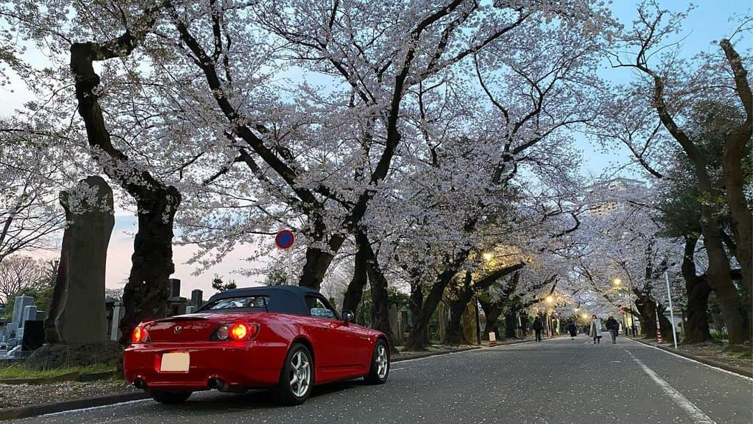 上野耕平さんのインスタグラム写真 - (上野耕平Instagram)「I have a VTEC.  乗り始めてもうすぐ4年になるホンダS2000。 9000回転までブン回る超絶気持ちいいVTECエンジンに、手首で操れるマニュアルトランスミッション。ワイヤーでエンジンと繋がったスロットペダル。そこからくるダイレクト感。  電子制御？ そんなもの付いていませぬ。 雨のコーナーで少しでもアクセルを踏みすぎると容赦なく横を向く危なさ。でもそれを操る楽しさ。  あえて初期のAP1にしました。  車は何も助けてくれない。 己の腕あるのみ。  アクセルは第二のステアリング。 それを教えてくれる車です！  後輪駆動万歳。  #s2000 #ホンダ #honda #vtec #vtecclub #thepowerofdreams」2月18日 18時36分 - koheiueno_sax