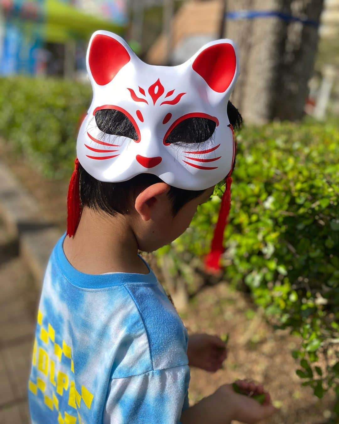 しおりのインスタグラム：「｡❀  狐少年、桜を愛でる  #落ちてる桜は鼻に突っ込むスタイル #花を鼻に  #桜まつり」