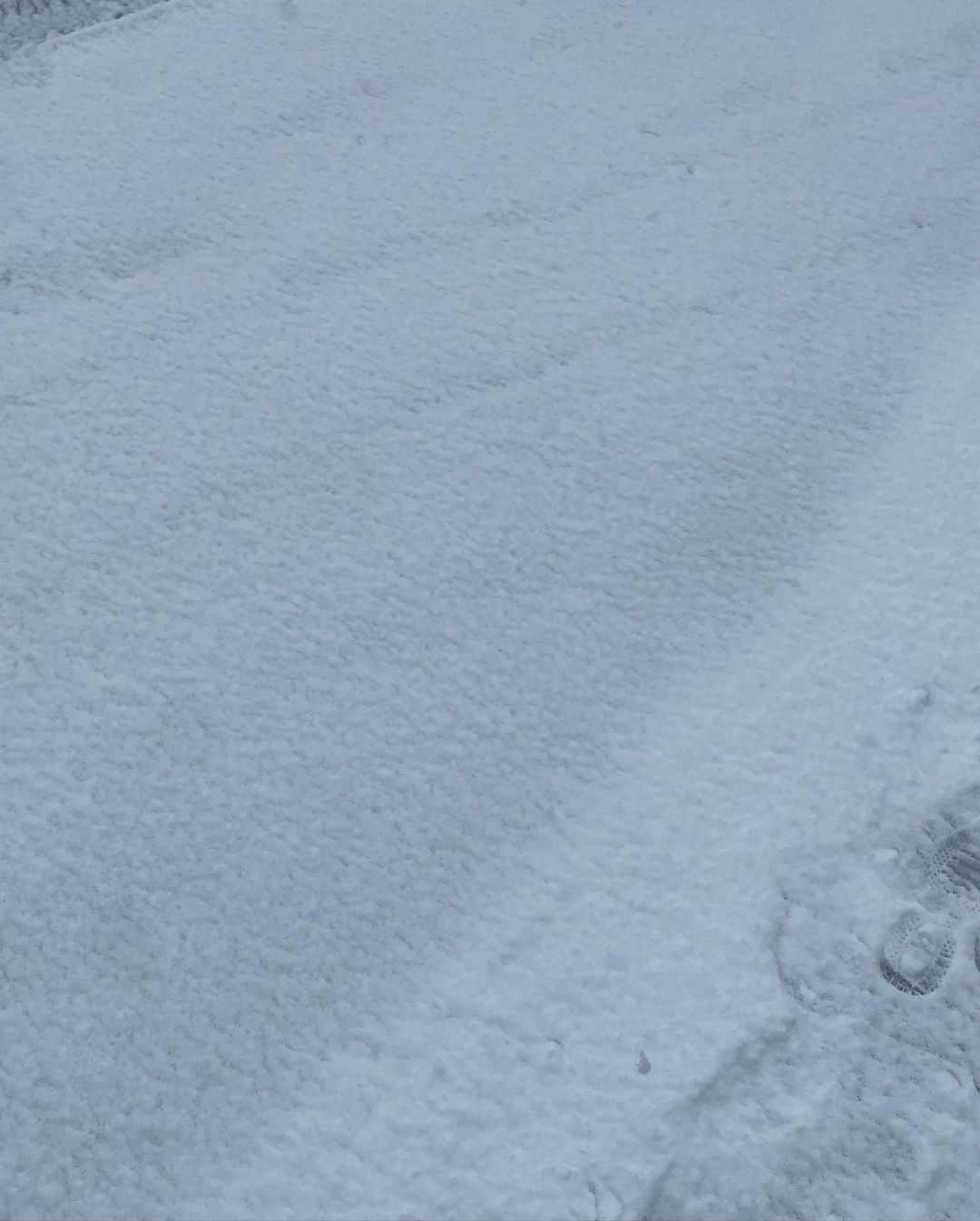 野崎奈菜さんのインスタグラム写真 - (野崎奈菜Instagram)「楽しかった雪❄️」2月18日 21時00分 - lunelapin_na7