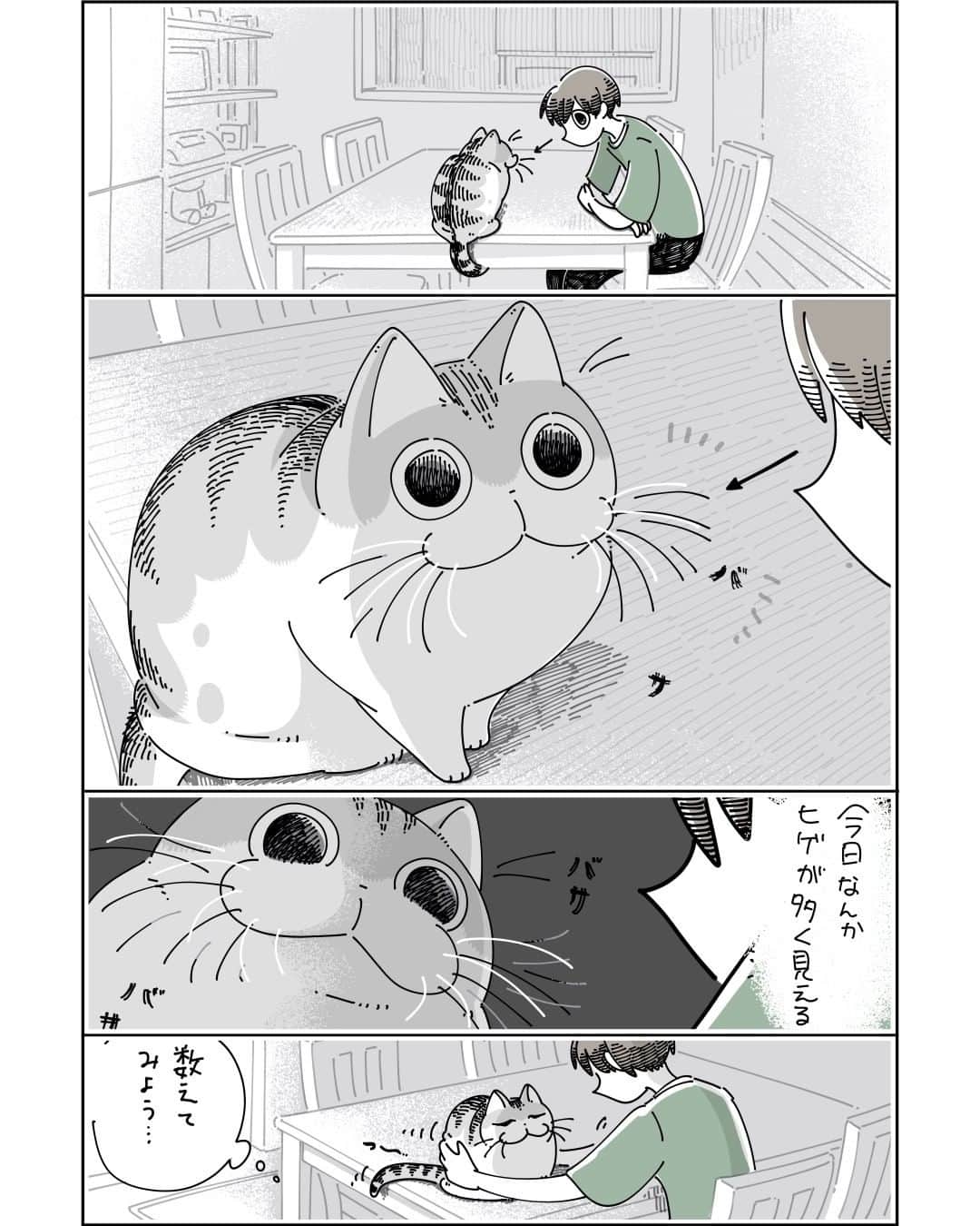 キュルZのインスタグラム：「ヒゲを数えたい  #キュルガ #夜は猫といっしょ #猫 #cat #猫漫画 #猫のいる暮らし」