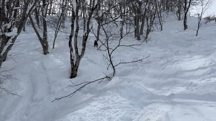 上村知世のインスタグラム：「楽しい#snowbording  #赤倉観光リゾートスキー場 へ！！ チャンピオンAコースにやっつけられましたw #snow #winter #family #ケバブ #akakan」