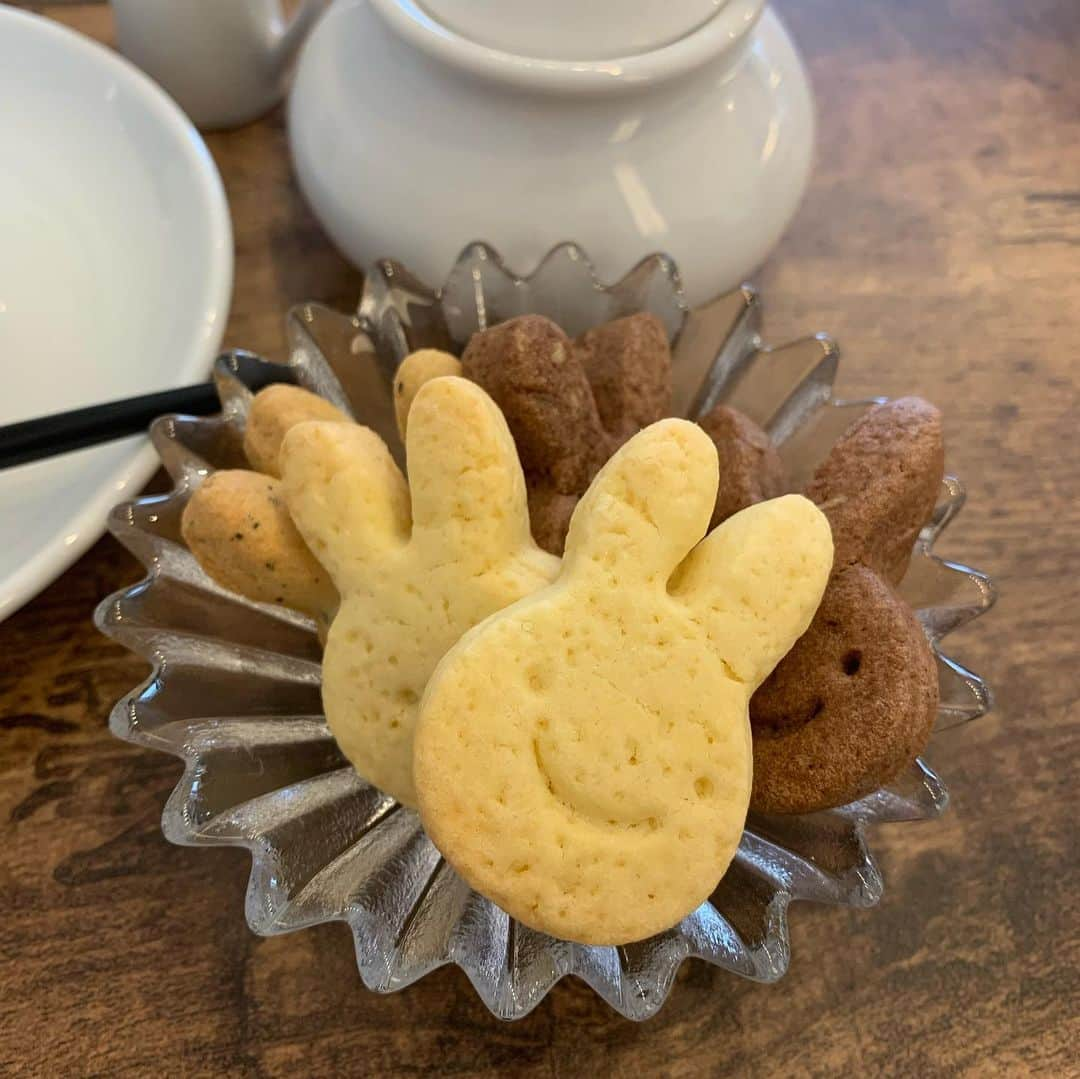 松本ルナさんのインスタグラム写真 - (松本ルナInstagram)「お久しぶりのカフェ紹介です☕︎.*  昨年、香芝にできたお店！  #pilotcoffeekitchen さんに 行ってきたよ🍓♡  いちごパフェも美味しかったし コーヒーも豆から選ばせて頂けるという 贅沢さ☕️✨  店内もオシャレで ホワイトボードは遊び心満点で 夜はBarに変身🦸‍♀️✨  ホワイトボードの写真は 撮り忘れました♡てへ  そしてInstagramをフォローすると クッキープレゼントしてくれました🐰！  これまた美味しくて 一瞬で無くなりました❤️笑  いちごのパフェは要予約なので お店のInstagramチェックしてね！！  本日もヒートテックが見えている 最新ファッションの写真で お届けさせて頂きました☺️✨←  【pilotcoffeekitchen】 📍奈良県香芝市真美ヶ丘2-13-8  🕚11:00〜22:00  📞予約可 →@pilotcoffeekitchen のDMへ  🫧定休日/水  🚗/駐車場あり  #勝手に奈良観光大使 #奈良 #奈良カフェ #香芝  #香芝カフェ #真美ヶ丘 #ルナマップ #nara #cafe」2月18日 21時28分 - ruruna0123