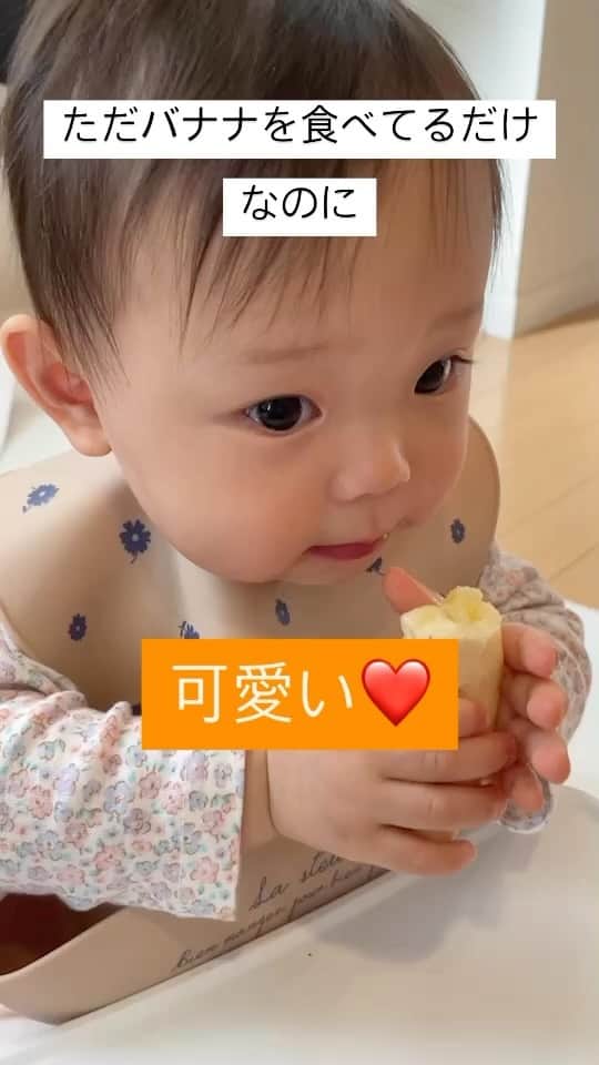浜名ランチのインスタグラム：「ただバナナを食べてるだけなのに、可愛い❤️ どうしようもないくらい、可愛い❤️ 親バカですみませーん💦 でも可愛い❤️」