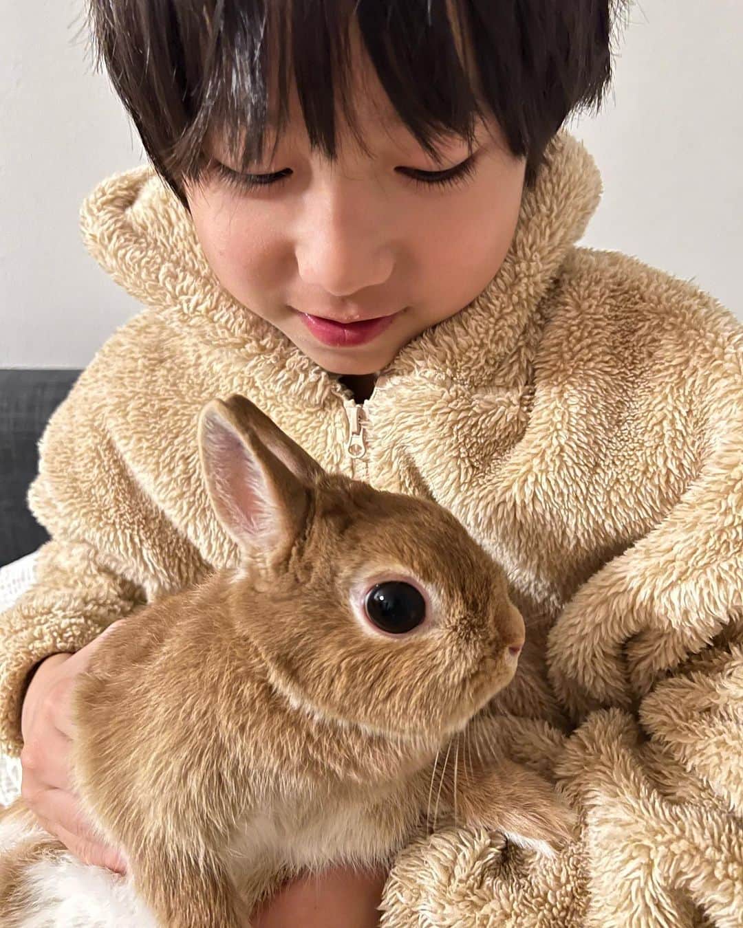 立花麻理のインスタグラム：「・  かわいいのが  ぴょん　ぴょん  我が家には  2匹いる🐇🐇  #ネザーランドドワーフ #愛息子 #®️」