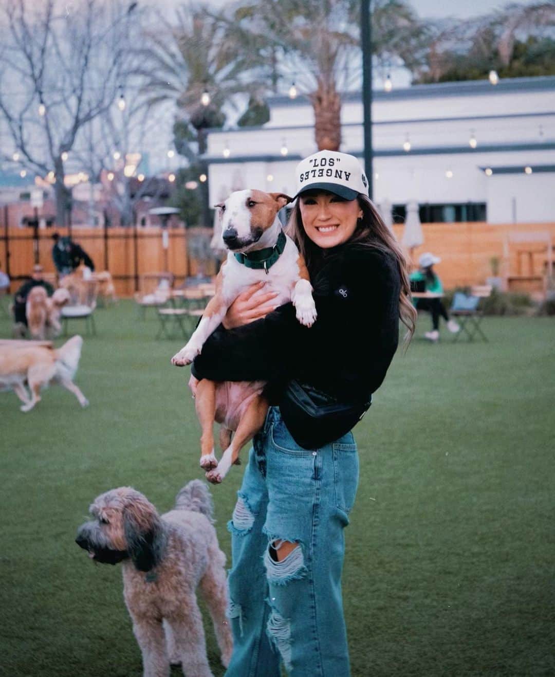 Lauren Riihimakiさんのインスタグラム写真 - (Lauren RiihimakiInstagram)「pictured: a rare fuzzy specimen with airplane ears (and a doodle named frank who wouldn’t stop humping moose lol)   📷: @liamunderwood」3月20日 4時55分 - laurdiy