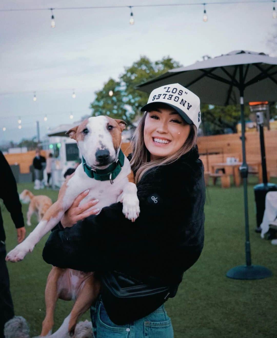 のインスタグラム：「pictured: a rare fuzzy specimen with airplane ears (and a doodle named frank who wouldn’t stop humping moose lol)   📷: @liamunderwood」