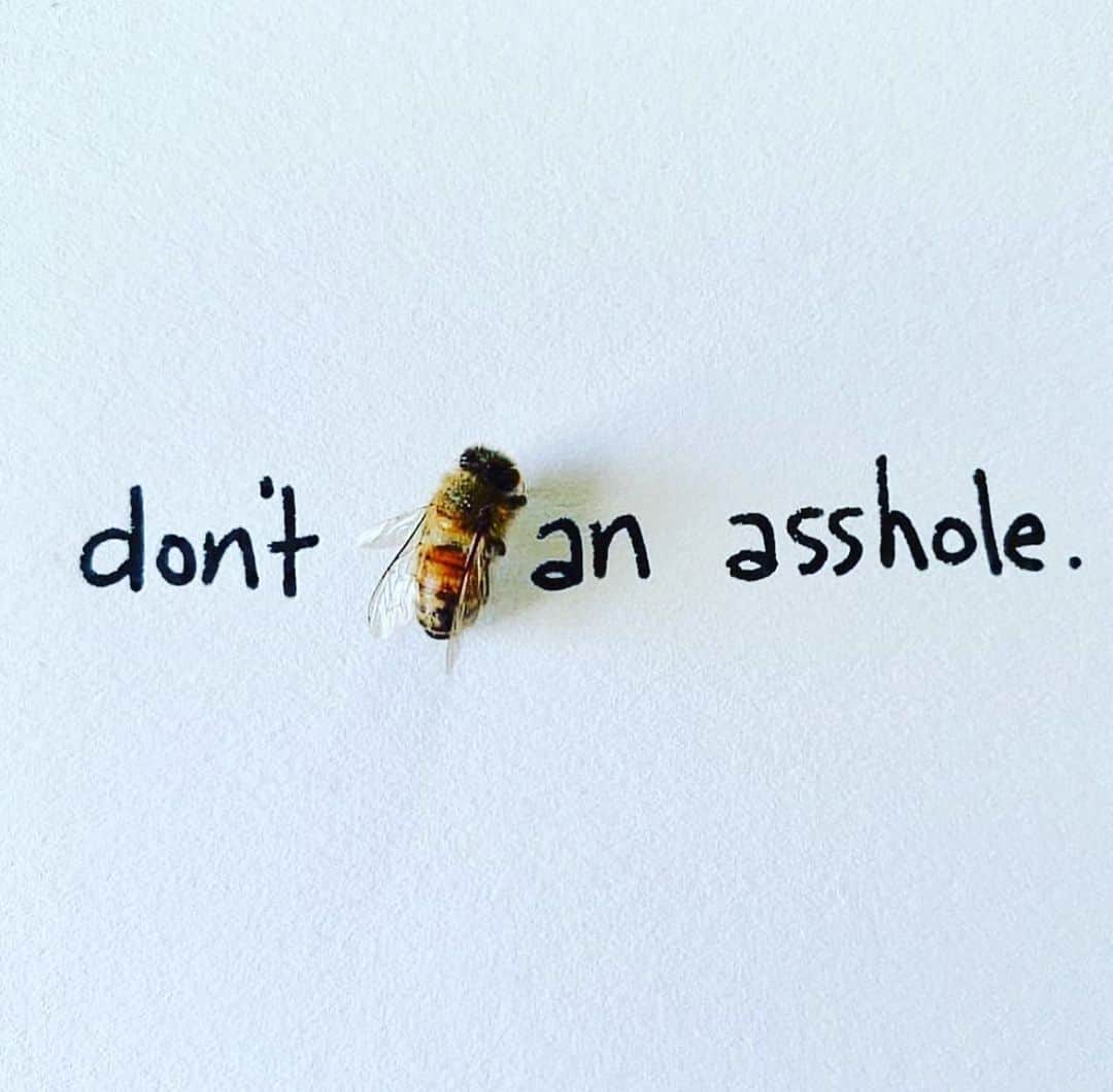 ジェイミー・アレクサンダーのインスタグラム：「🙅🏻‍♀️🐝 an 🍑🕳️」