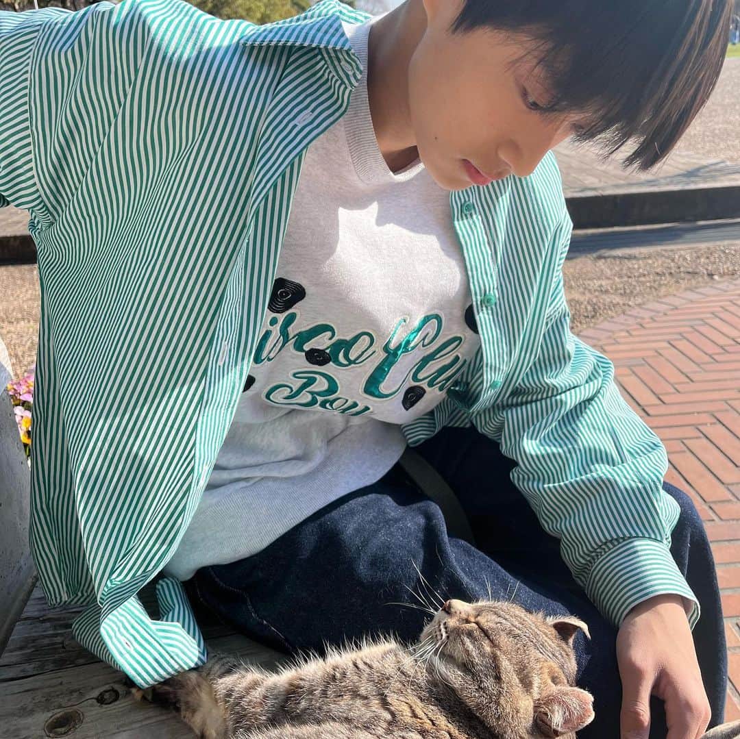 神田聖さんのインスタグラム写真 - (神田聖Instagram)「猫に癒された日でした🐈」3月19日 20時27分 - hiziri0323