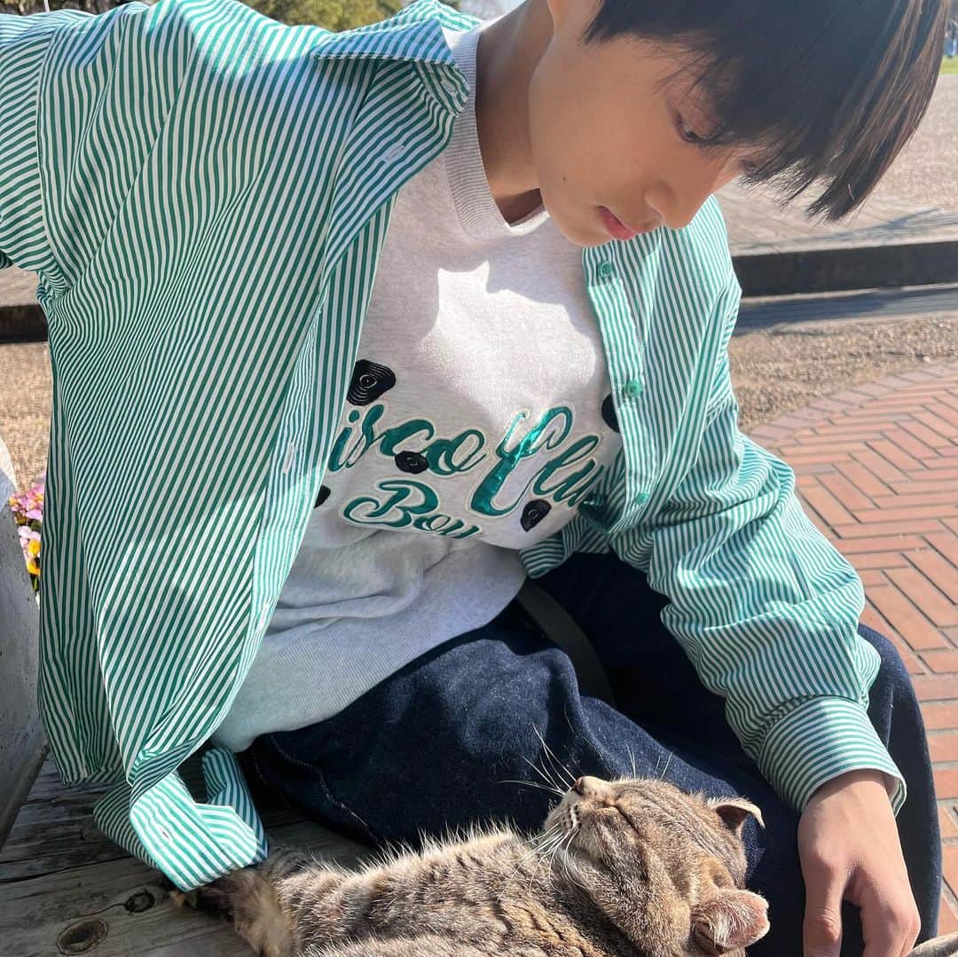 神田聖のインスタグラム：「猫に癒された日でした🐈」