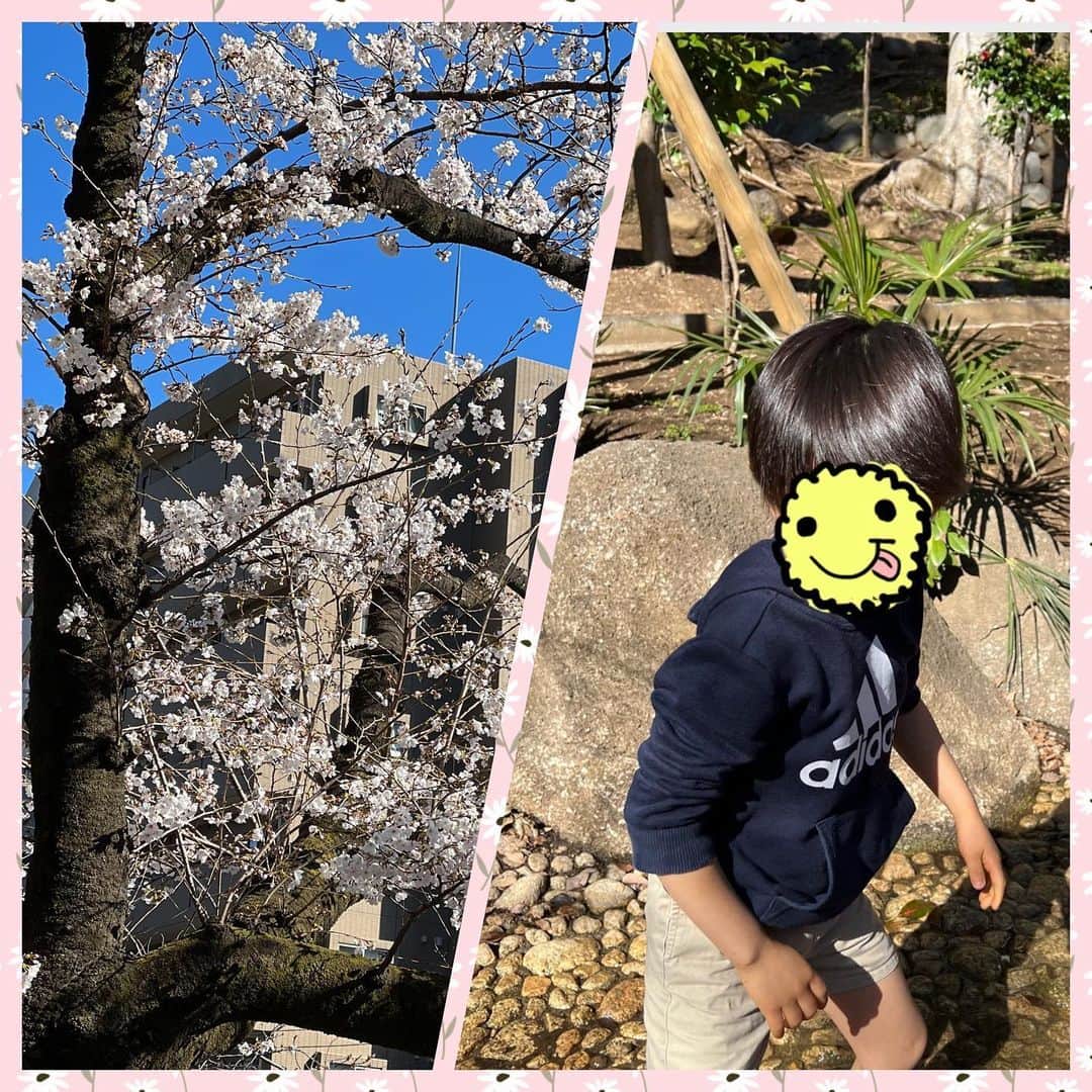 小倉優子さんのインスタグラム写真 - (小倉優子Instagram)「午後からドライブしながらお買い物に行こうとしていたら  「公園にいるよ〜！」 と友人から連絡があり公園に合流しました☺️☀️  桜が綺麗に咲いていて おたまじゃくしを見つけたり  春を沢山感じ帰宅しました🌸」3月19日 20時31分 - ogura_yuko_0826