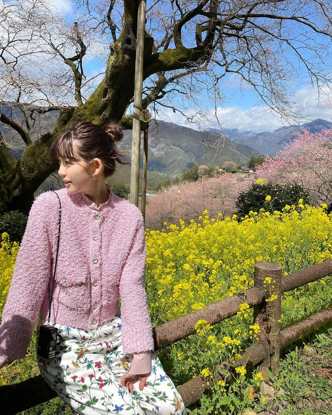 中村里帆のインスタグラム：「『草花体感ウォーキングイベント』 に参加させて頂きました🌸 私は仁淀川町を散策してきました！  牧野富太郎博士の裏庭と言われていた仁淀川町。 沢山の植物との出会いがありました🌱  花の里公園は、地元の方が手作りで！作り上げた遊び心満載の公園。ユニークでカラフルで写真映えもするし、何より地元の方の大きな愛を感じてほっこりしました😌 まだ満開ではなかったからリベンジしたいな〜！  ひょうたん桜公園は、樹齢500年超えの大きな大きな桜の木と菜の花畑のコラボレーション。 天国ってこういう感じかな...と思わされるくらい幻想的な景色でした🤤  中津渓谷はもう着いた瞬間から心が洗浄されていくのを感じる。笑 力強く咲く小さな植物も、凛と咲く椿も、 全てが生命力に溢れていて、全身で高知の大自然を感じました！ 沢山エネルギー貰った！フル充電された！✊  これからの高知はもっともっと自然豊かになっていくので、 是非皆さんも心と体をリフレッシュしに来てください🙋‍♀️  そしてそしていつもどタイプな衣装を用意してくださる @kyonchic さん🫶 今回のイベントにぴったりすぎるコーデ🌸  #椿は拾ったものだよ #仁淀川町 #ひょうたん桜公園 #花の里公園 #中津渓谷」