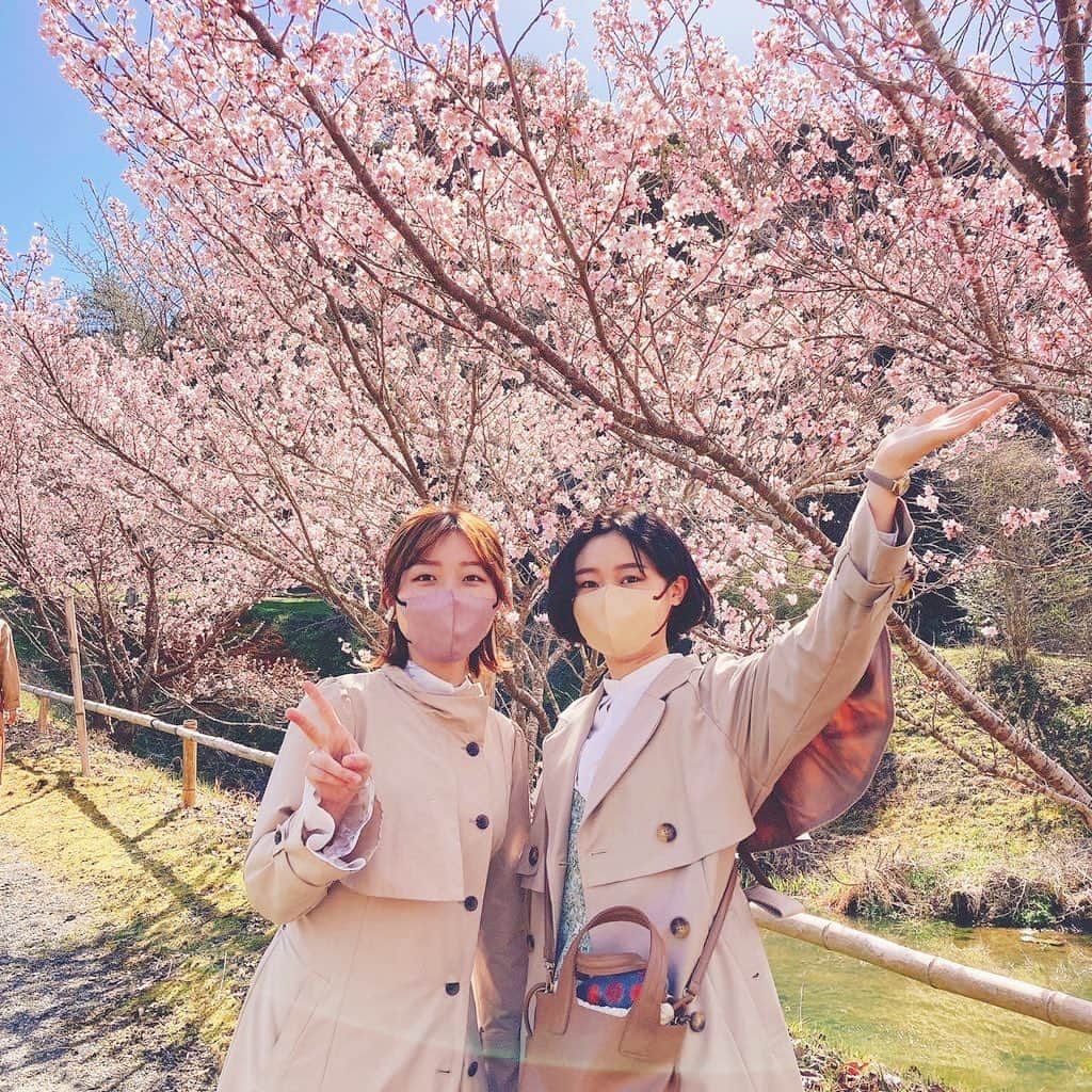 ゆりめりさんのインスタグラム写真 - (ゆりめりInstagram)「梅まつり1日目終了！ 昨日は雨で寒かったのでちょっとお天気心配でしたが、温かくすっごくいいお天気でした☺️✨(むしろ暑かったくらい...笑) 梅も桜も咲いていてとても綺麗だったし、美味しいものもいっぱいで心もお腹も満たされました...🥰✨ 明後日の梅まつり最終日にもライブさせていただきます🙇‍♀️ 頑張ります！！  #梅まつり #寿長生の郷」3月19日 20時43分 - yurimeri_official