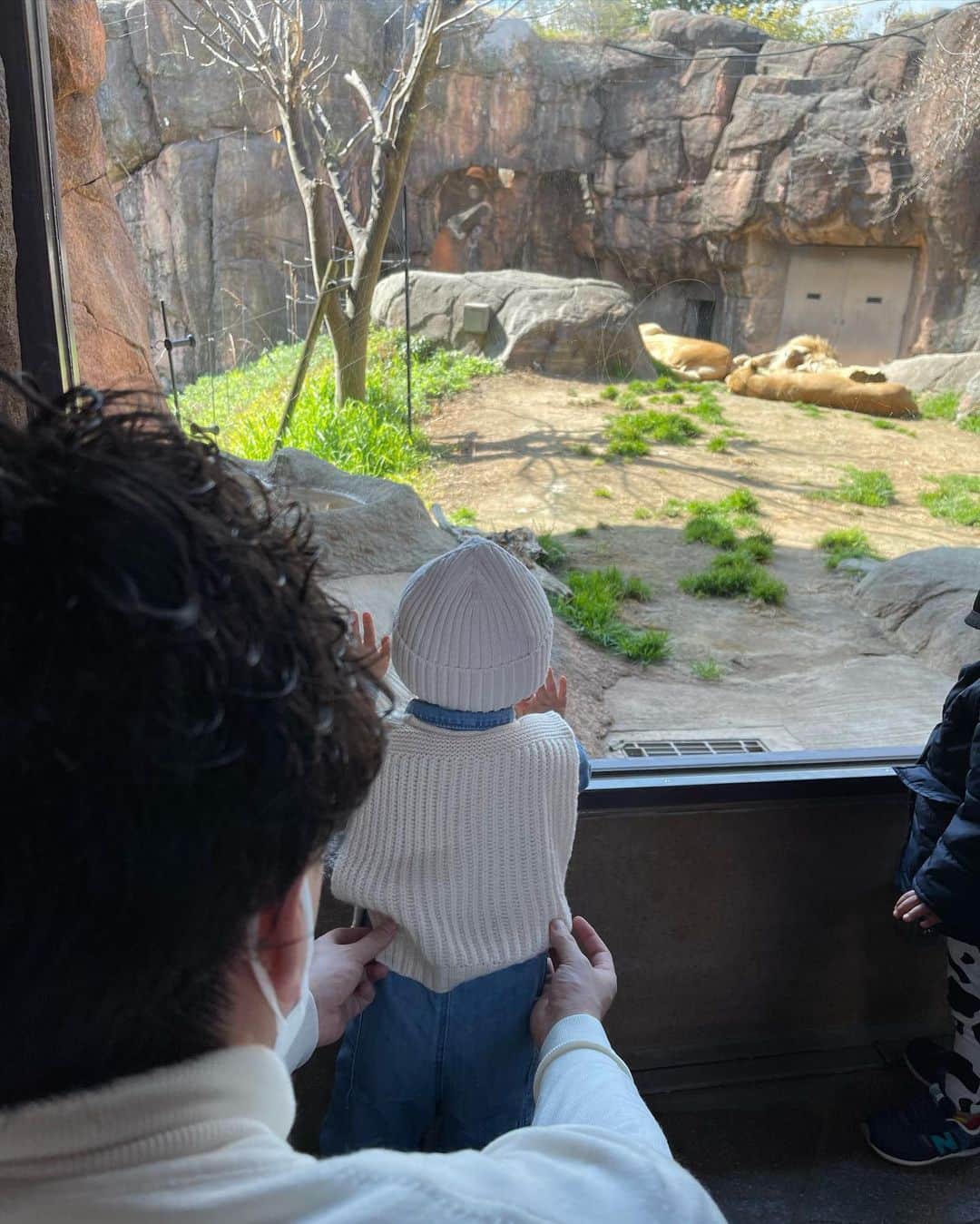 木村安梨沙さんのインスタグラム写真 - (木村安梨沙Instagram)「初めての動物園へ🐘 デビューは天王寺動物園に行ったんだけど 息子が大好きなゾウさんはいなくて 唯一テンション上がってたのはまさかのオオカミ🐺でした（笑） でも指さしてわぁって言ってたりして お母ちゃんは感動🥹❤️‍🔥 ちなみに、旦那さんと初めて2人でデートしたのも 天王寺動物園というプチ情報👏🏻（笑） なんかそんな場所に子供👶🏻と行くなんて 感慨深いものがありました✨」3月19日 20時47分 - arisa1208