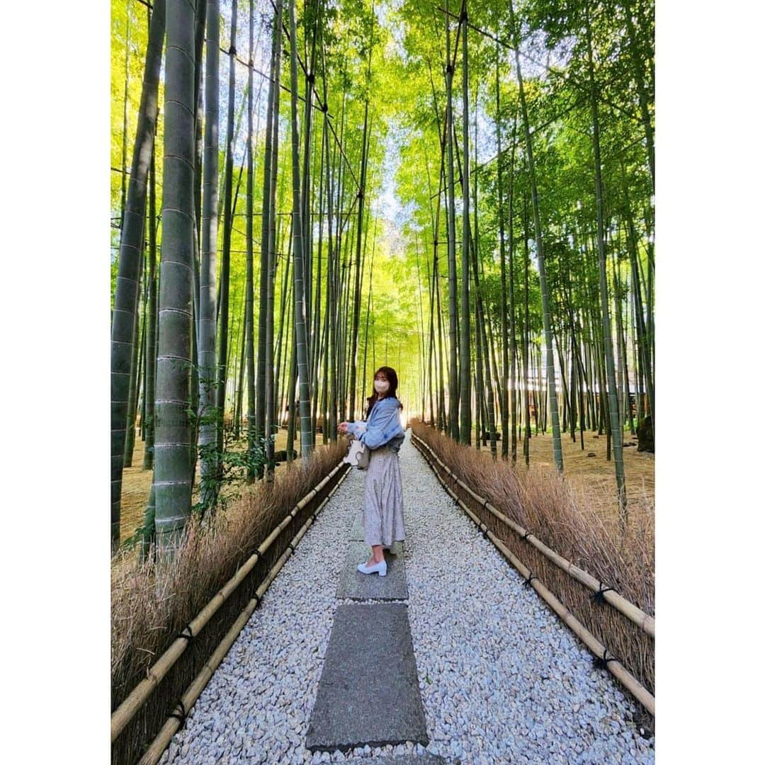 森下花音さんのインスタグラム写真 - (森下花音Instagram)「・ 鎌倉巡りたちの続き📸👣  鎌倉は祖父母の家があるのですが、まだまだ行ったことのないスポットが沢山ありました⛩  #鎌倉巡り#鎌倉旅行#鎌倉#長谷寺#大仏#報国寺#鎌倉グルメ#しらす丼#小町通り#小町通り食べ歩き#カメラ#春コーデ#Japanesegirl#japaneseculture#camera#photooftheday#instagood」3月19日 20時57分 - non_flower_528