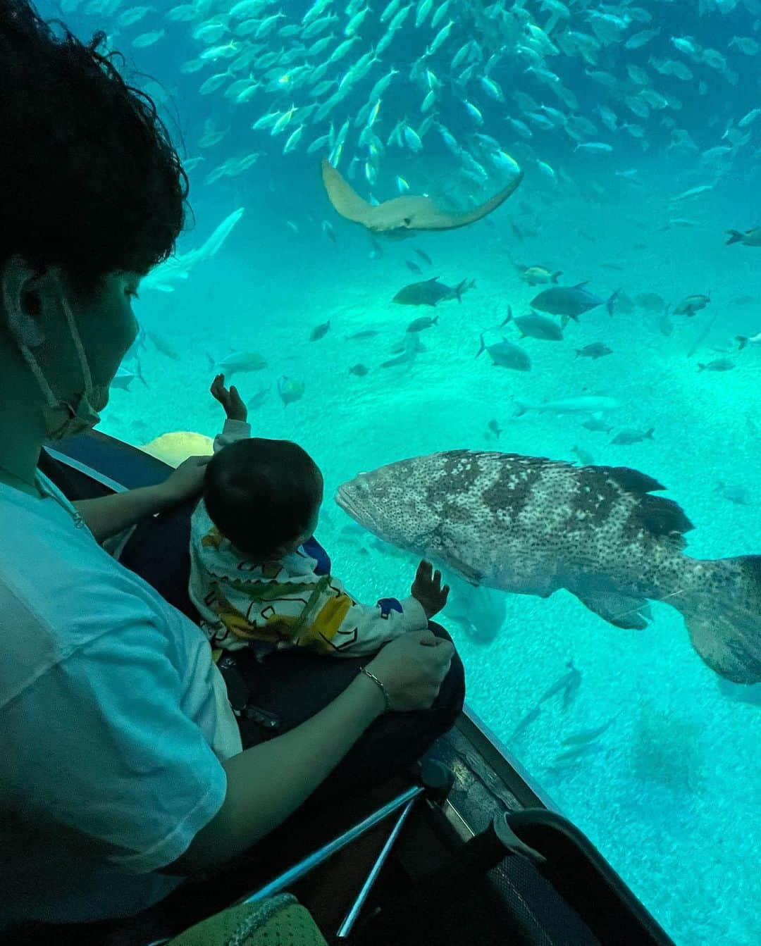 木村安梨沙さんのインスタグラム写真 - (木村安梨沙Instagram)「海遊館デビュー🐠 動物園の時よりも明らかにテンション上がってはった！ 見るものすべてに興味があって 気になって仕方ない様子が可愛かったぁ。 お魚はずっと動いてるから 本人も見やすかったかな😊🌟」3月19日 21時08分 - arisa1208