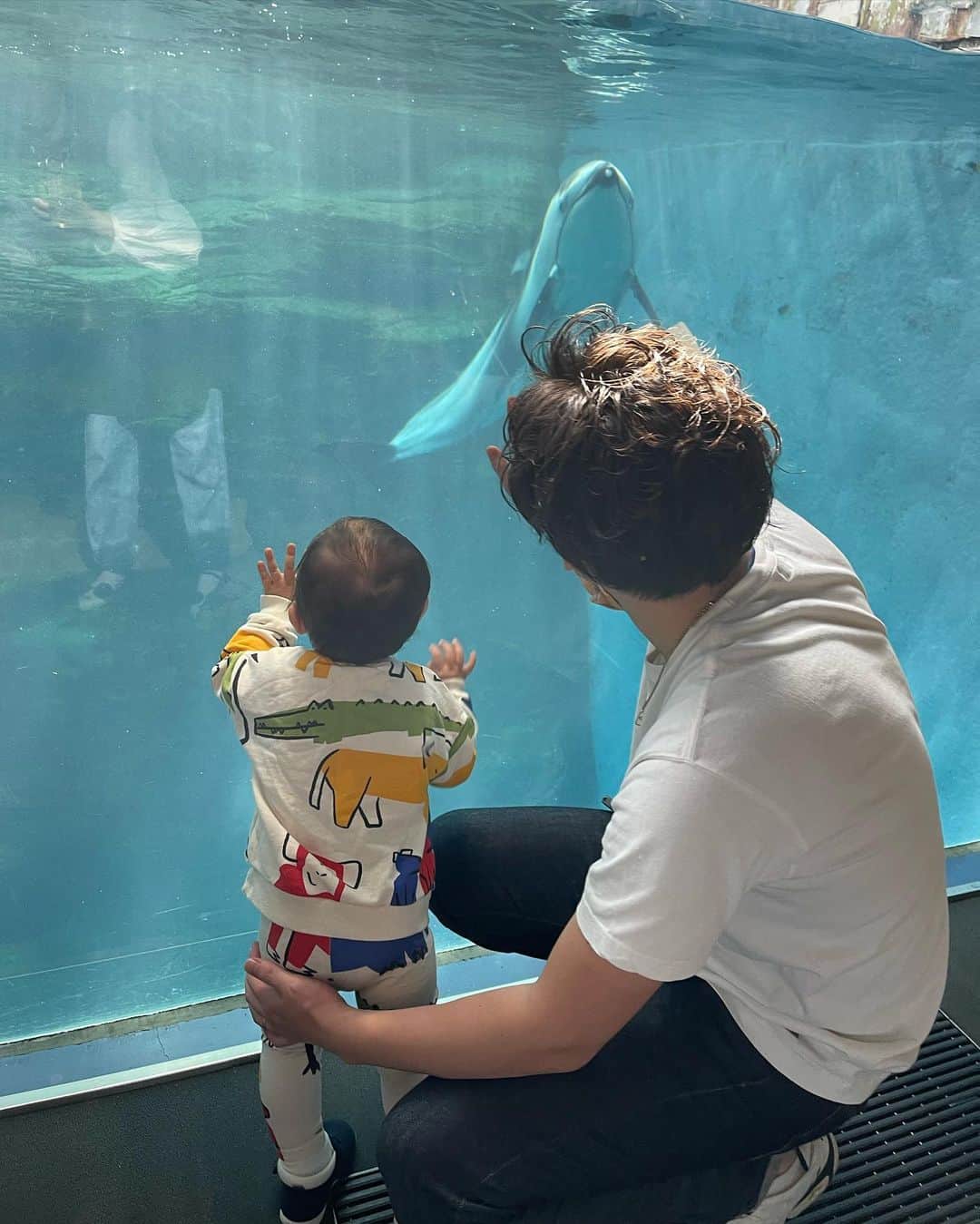 木村安梨沙のインスタグラム：「海遊館デビュー🐠 動物園の時よりも明らかにテンション上がってはった！ 見るものすべてに興味があって 気になって仕方ない様子が可愛かったぁ。 お魚はずっと動いてるから 本人も見やすかったかな😊🌟」
