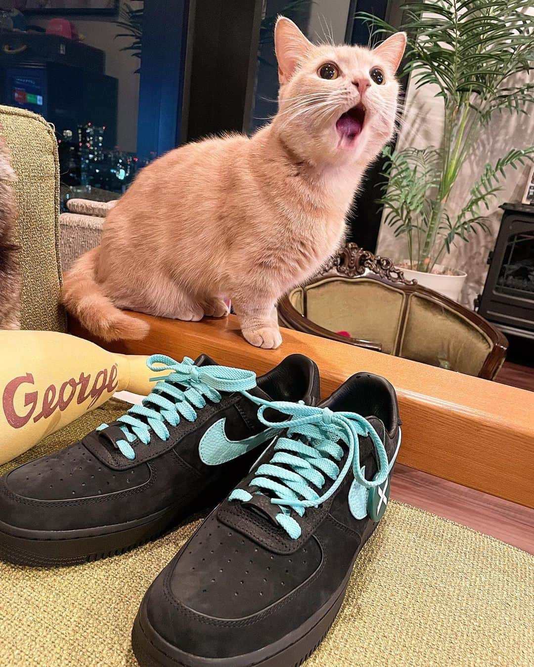 高木裕介のインスタグラム：「紐替えたら良い感じ👟 と、マルコスが言ってました。 #nike #tyffany #ティファニー#ナイキ」
