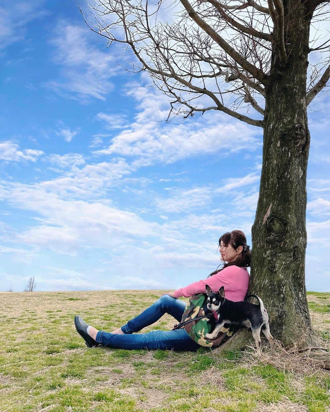 山田佳子さんのインスタグラム写真 - (山田佳子Instagram)「いいお天気なので、淡路島の花さじきへ…♪ ⁡ 果てしなく広がる菜の花畑をのんびり散策してとてもリフレッシュできました(◍˃̵͈̑ᴗ˂̵͈̑) ⁡ #気持ちいい天気  #目の前が海  #愛犬と一緒 #幸せなひととき  #お昼寝したい　 #花さじき #淡路島」3月19日 21時25分 - yoshiko117