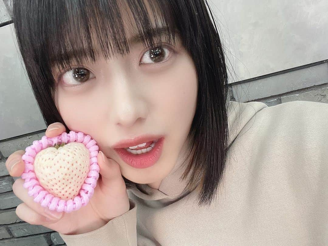 西野千明のインスタグラム：「ファンミの配信後にいただいたイチゴです🍓 人数分ちゃんと用意してくださってた、、やさし めちゃめちゃ美味しかったー！ . #自撮り #essentials #fearofgod #いちご #イチゴ #strawberry #innercolor #秋 #autumn #秋コーデ #春 #spring #春コーデ #パーカー女子 #インナーカラー #japan #idol #pwc #白キャン #真っ白なキャンバス #西野千明 #アイドル #いいね #ボブ #ショートボブ #followｍe #instagood #fashion #like4like #ootd」