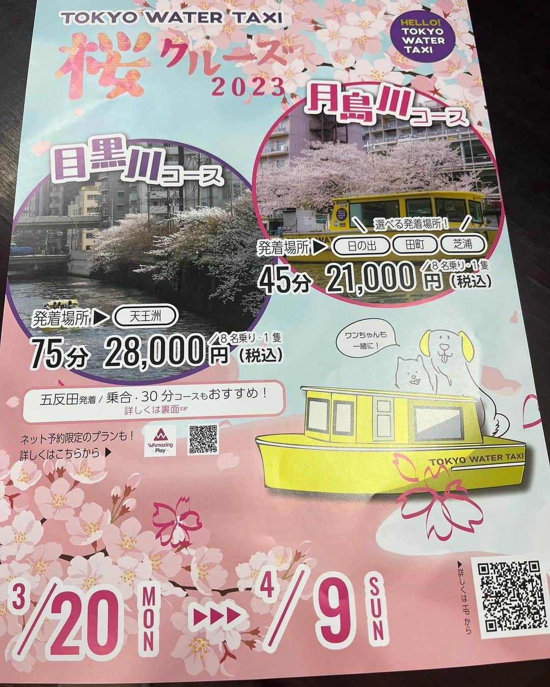 TOKYO WATER TAXIのインスタグラム：「水辺桜🌸が咲き始めました。 東京の川沿いにはたくさんの桜の名所があり、混雑知らずで船から桜を愛でるお花見は東京の風物詩になりつつあります。  月島川、目黒川の桜は1〜2分咲き。陽当たりの良い桜の木は4分咲きくらいです。 水辺の桜は陸の桜より咲き始めが遅いので 3月末から4月に入ってからも楽しめそうです❣️まだ予約も空きがあり狙い目です。03-6673-2528へお問い合わせください^_^  東京ウォータータクシー お花見商品のご案内 https://water-taxi.tokyo/2023/02/22/2023sakura_cruise/  JR田町駅、五反田駅前からの桟橋からお花見でお出かけできるのも東京ウォータータクシーならでは！  🌸五反田発着　貸切40分お花見クルーズ🌸 人混みから離れて、船の上から目黒川雅叙園前のゴージャスな桜回廊をご覧いただけます。 ドッグフレンドリーは東京ウォータータクシーだけ^_^ わんちゃんと一緒にお花見を楽しんでくださいね♪  ご予約はWAmazingplay または直接東京ウォータータクシーへお問い合わせください🐕❤️ https://jp.wamazing.com/activity/detail/1241  #tokyowatertaxi  #tokyo #目黒川 #月島川 #港区 #品川区 #五反田  #田町 #芝浦 #日の出 #天王洲アイル #プライベートチャーター #家族でお出かけ  #ペット可  #わんこのいる生活  #ドッグフレンドリー #持ち込み可 #桜  #お花見 #お花見クルーズ」